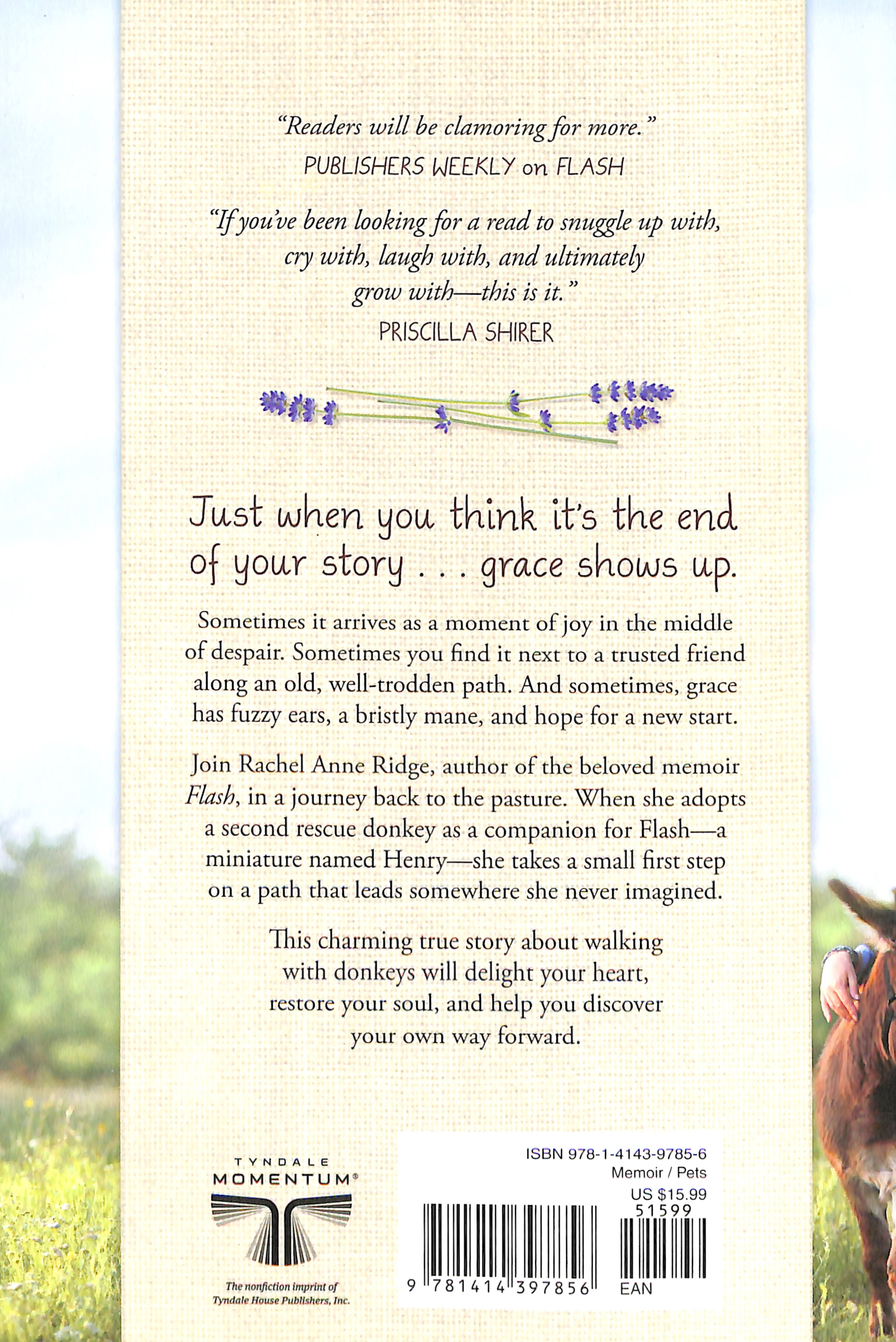 Walking With Henry: Big Lessons From a Little Donkey on Faith, Friendship, and Finding Your Path