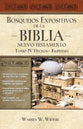 Bosquejos Expositivos De La Biblia, Tomo IV: Hechos - Filipenses (Spanish)
