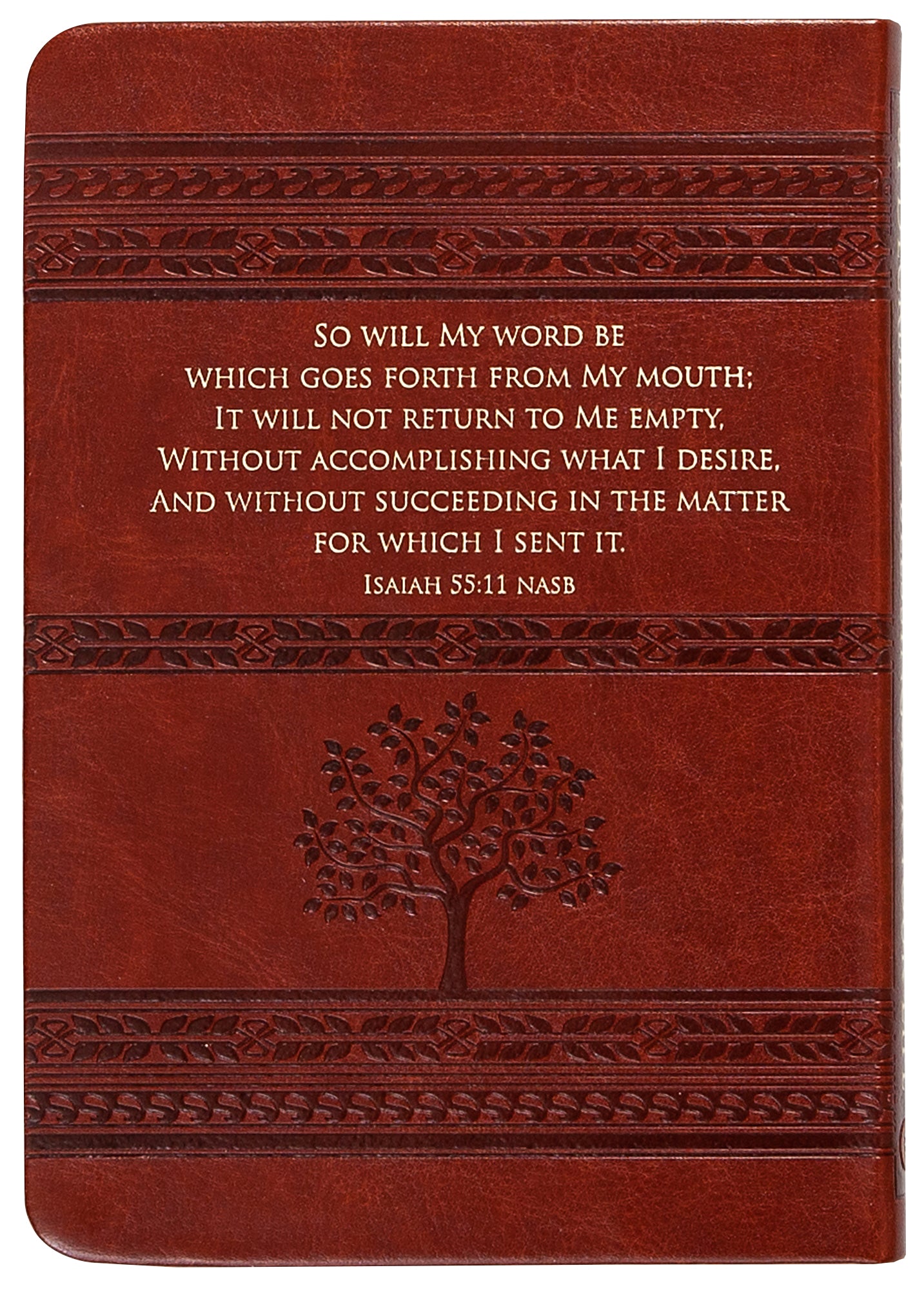31 Decrees of Blessing For Your Life