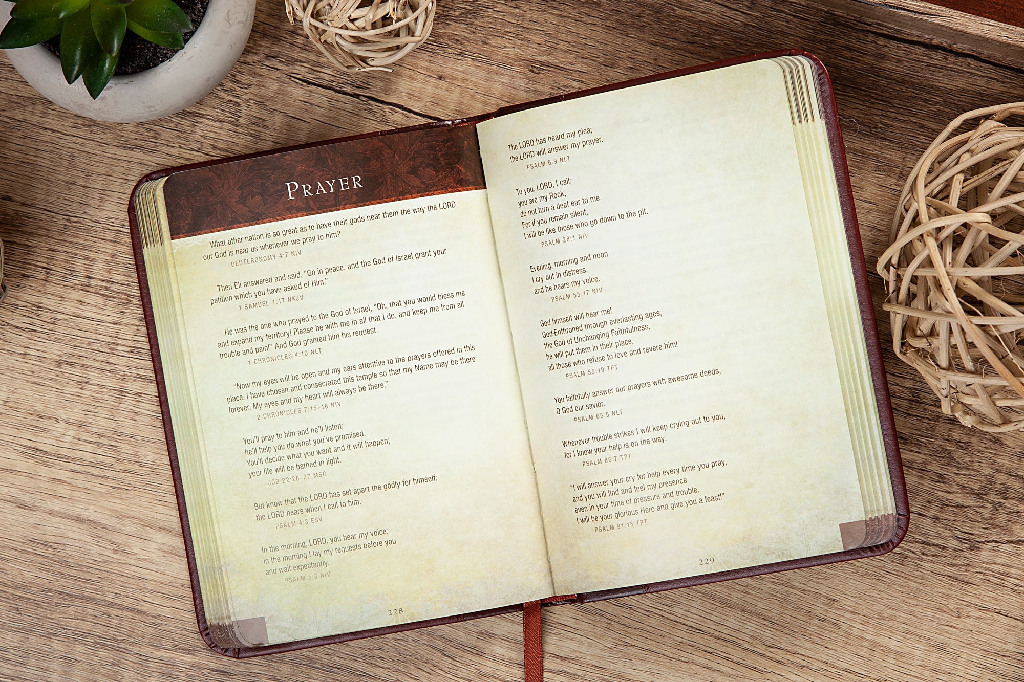 Bible Promises For Life: The Ultimate Handbook For Your Every Need