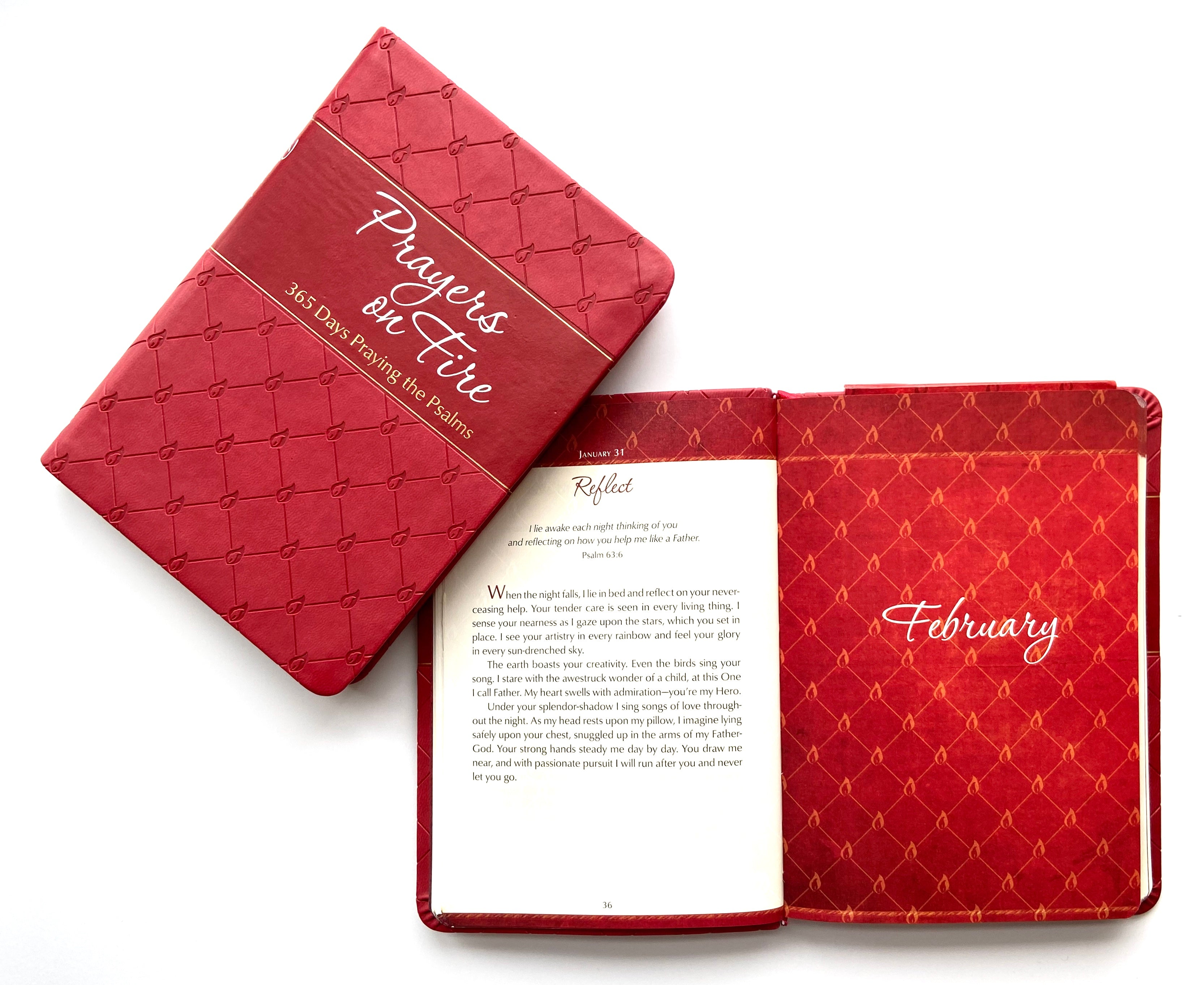 Prayers on Fire: 365 Days Praying the Psalms
