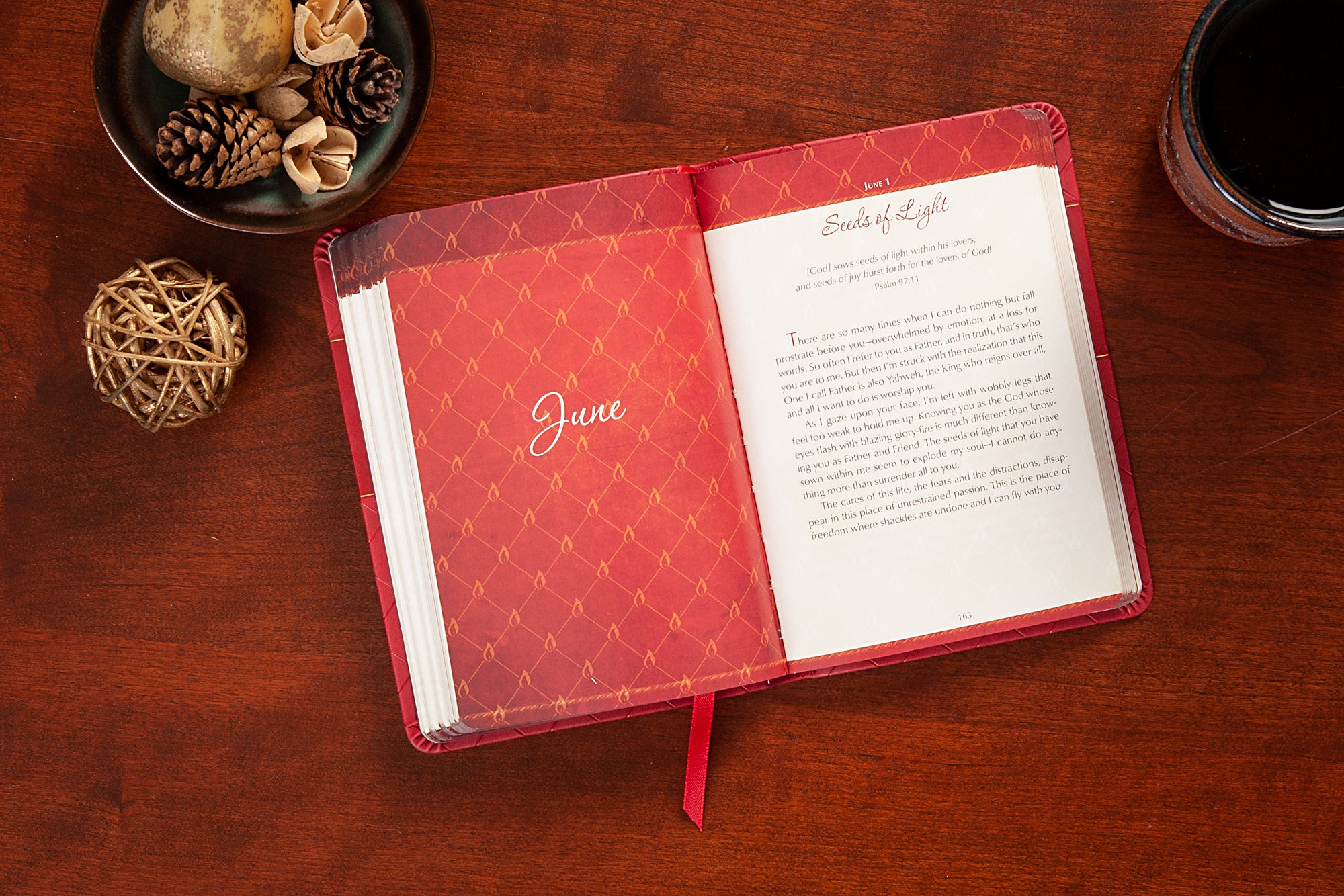 Prayers on Fire: 365 Days Praying the Psalms