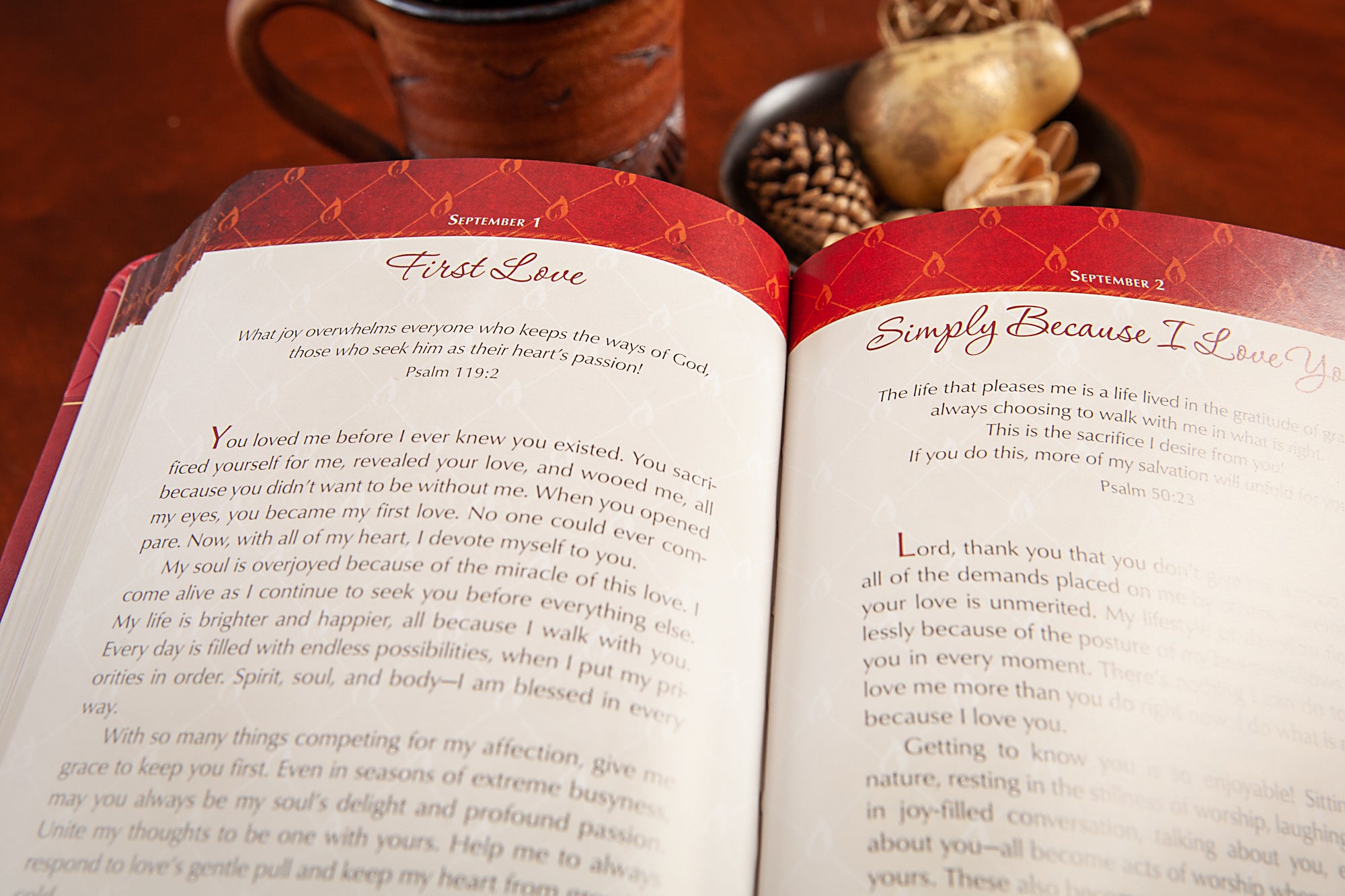 Prayers on Fire: 365 Days Praying the Psalms