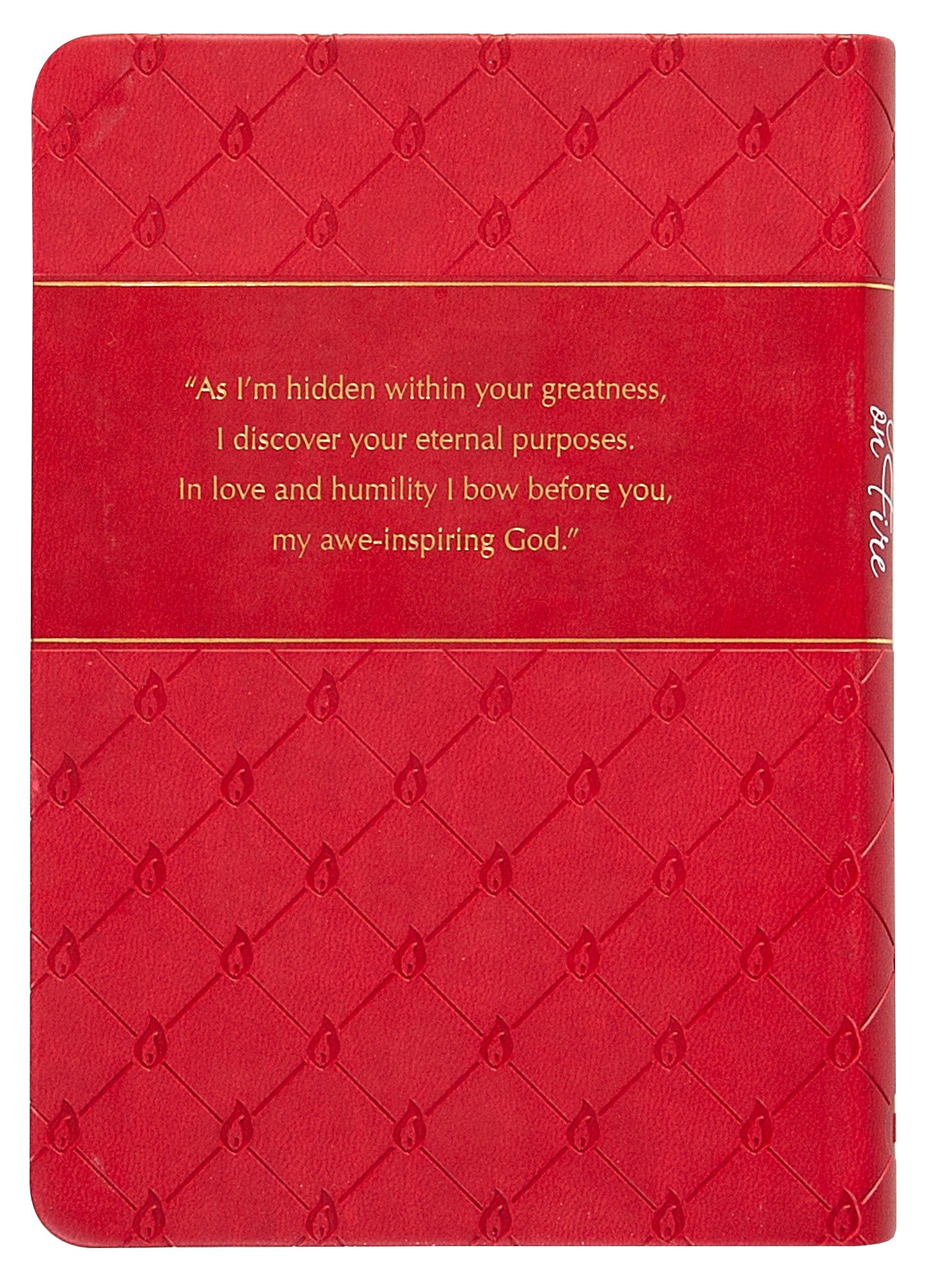 Prayers on Fire: 365 Days Praying the Psalms