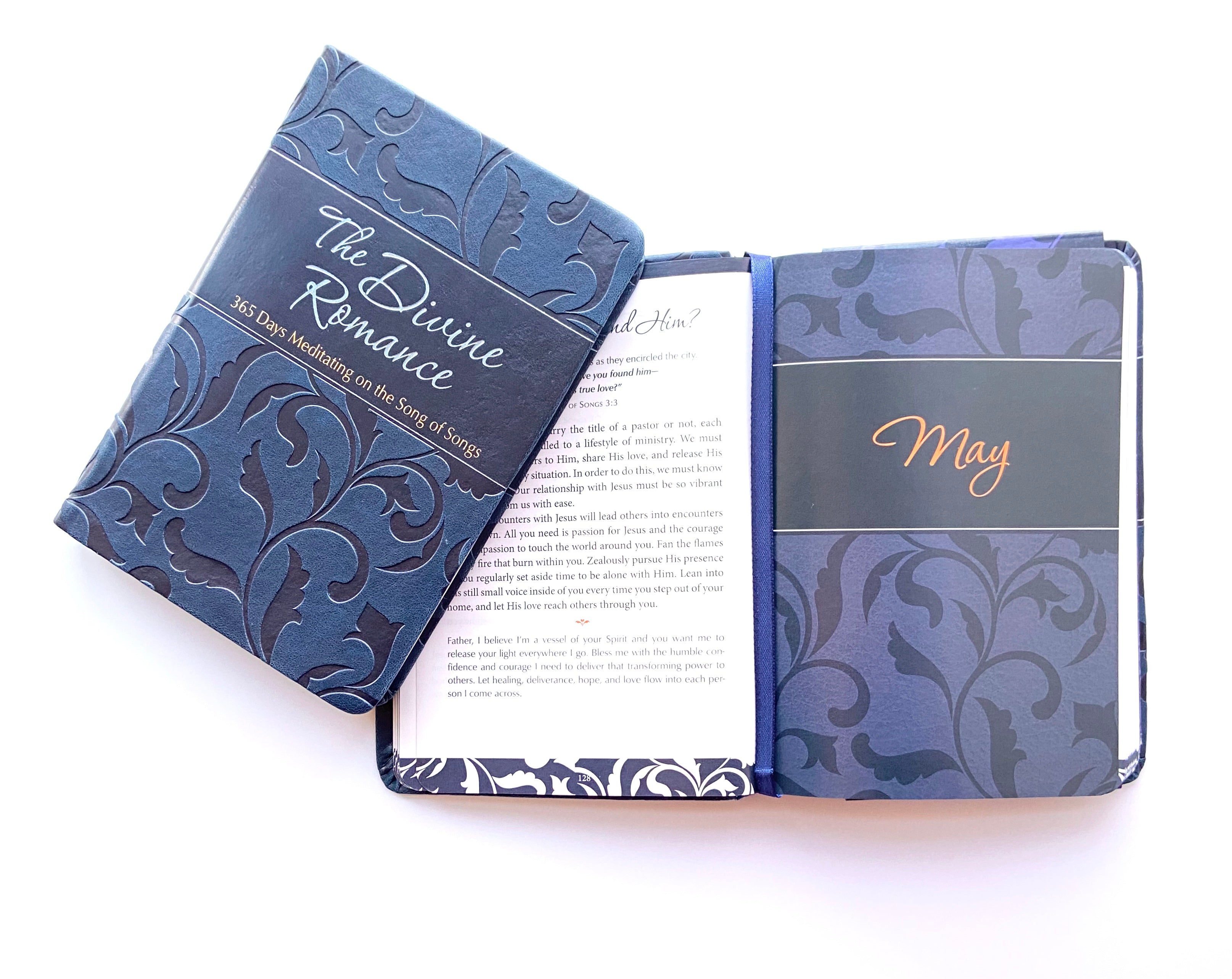 The Divine Romance: 365 Days Meditating on the Song of Songs