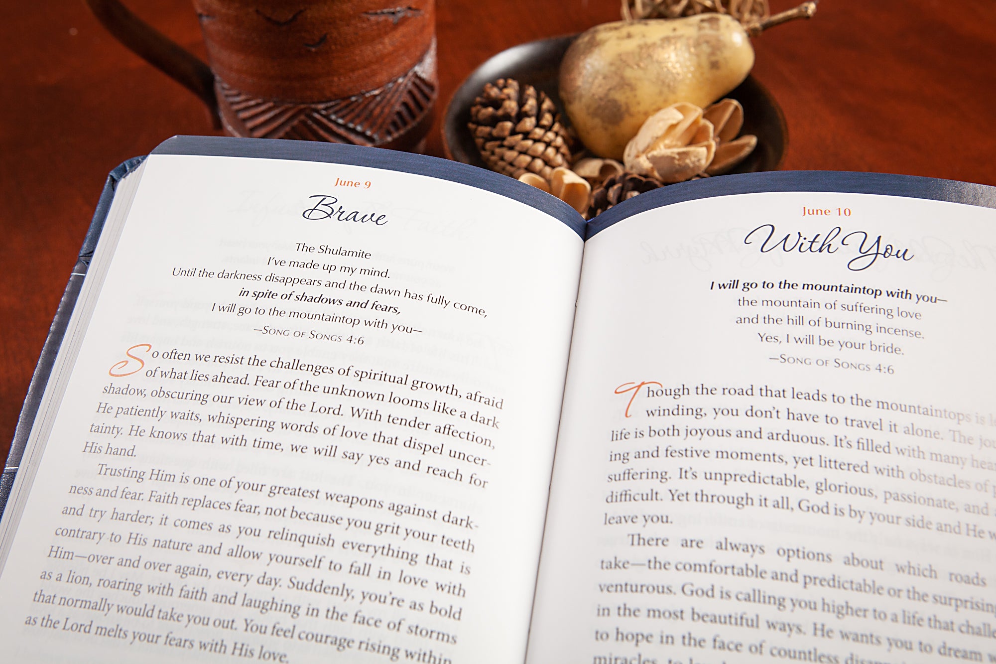 The Divine Romance: 365 Days Meditating on the Song of Songs