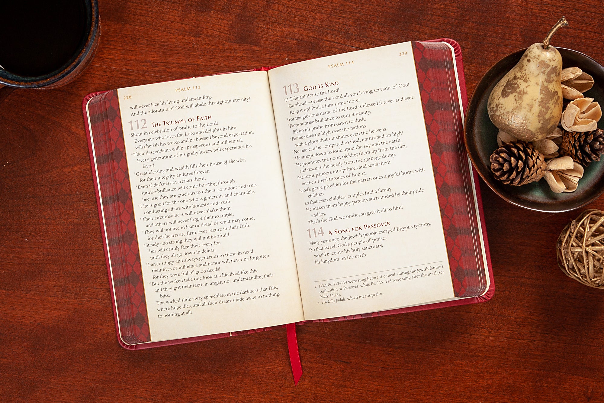 TPT the Psalms & Proverbs (2 In 1 Collection With Devotions)