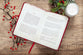 TPT the Story of Christmas