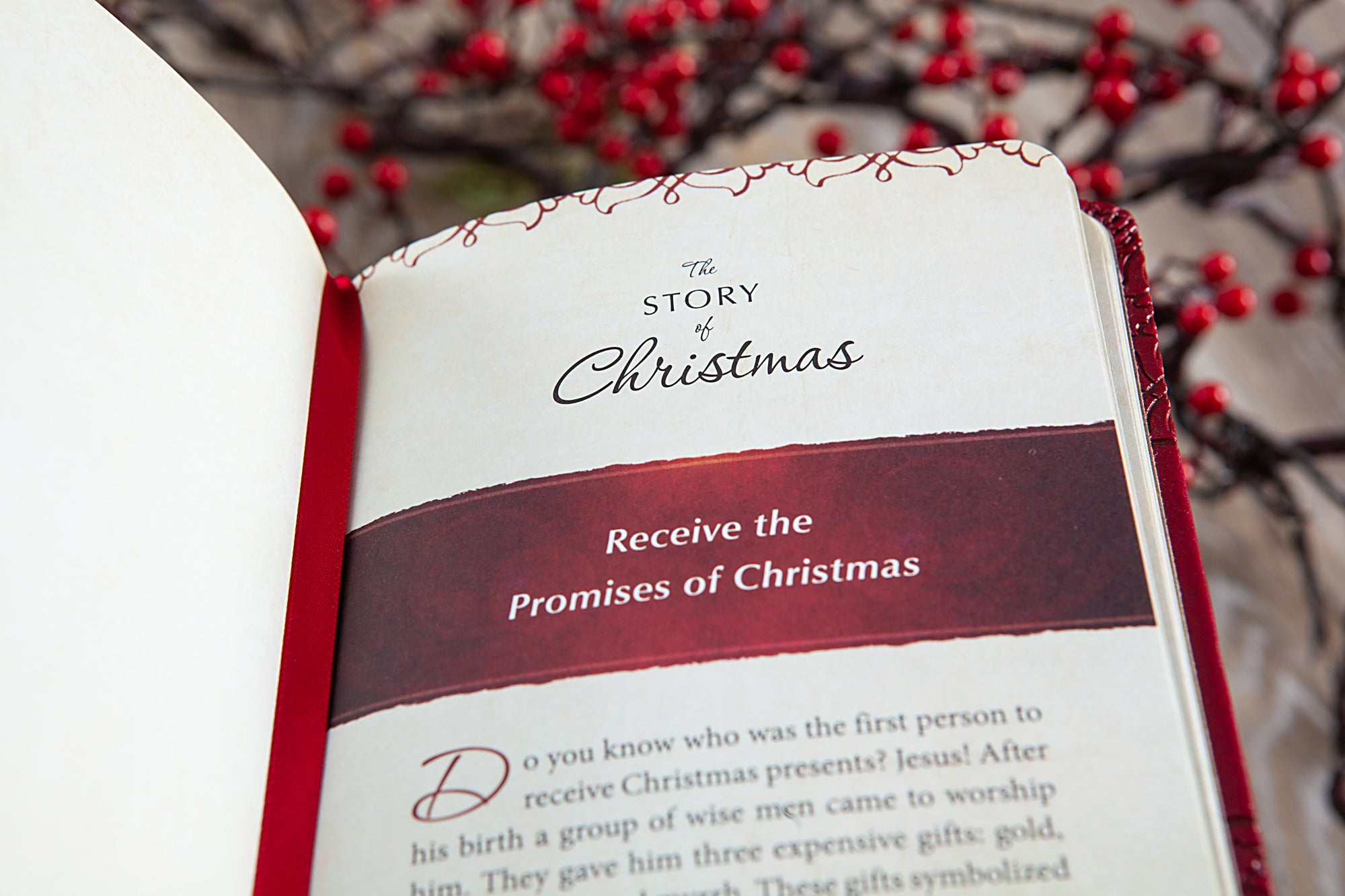 TPT the Story of Christmas