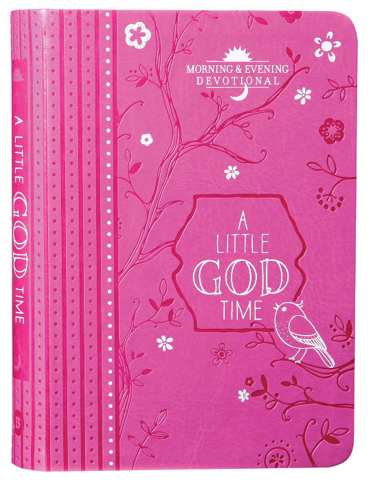 Little God Time, A: Morning & Evening Devotional (365 Daily Devotions Series)