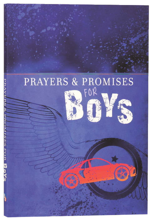 Prayers and Promises For Boys
