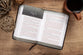 TPT the Life of Jesus: Harmonized Gospels Reader's Edition