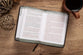TPT the Life of Jesus: Harmonized Gospels Reader's Edition