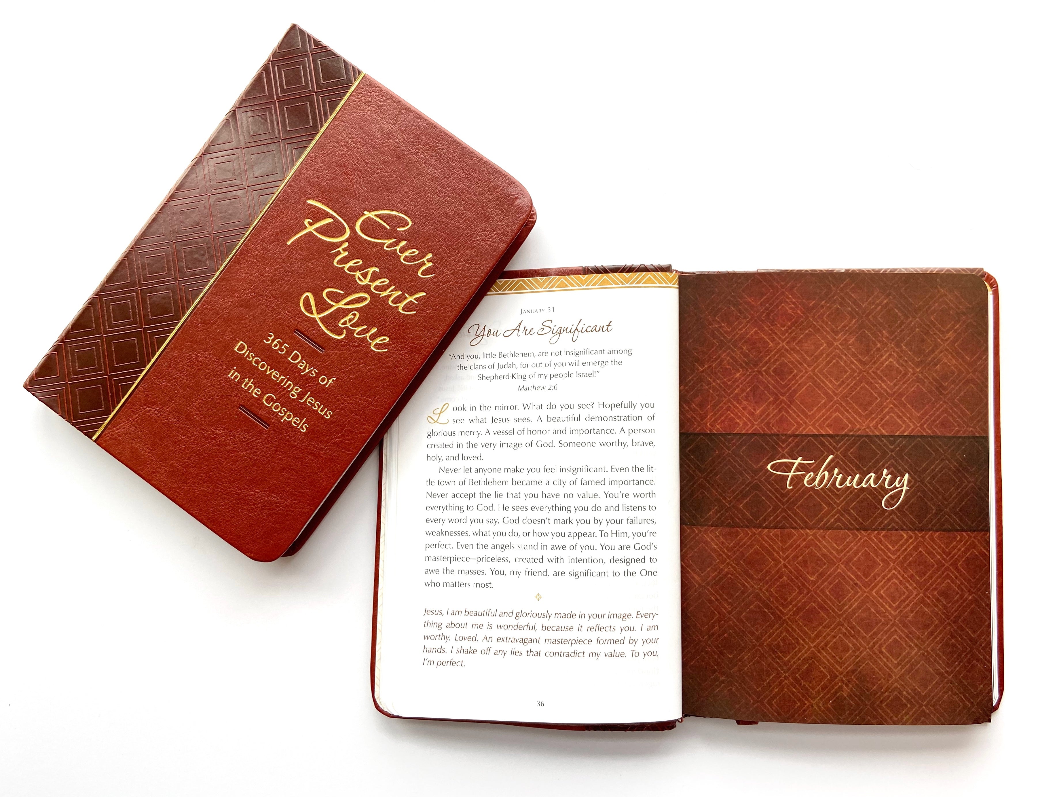 Ever Present Love: 365 Days of Discovering Jesus in the Gospels