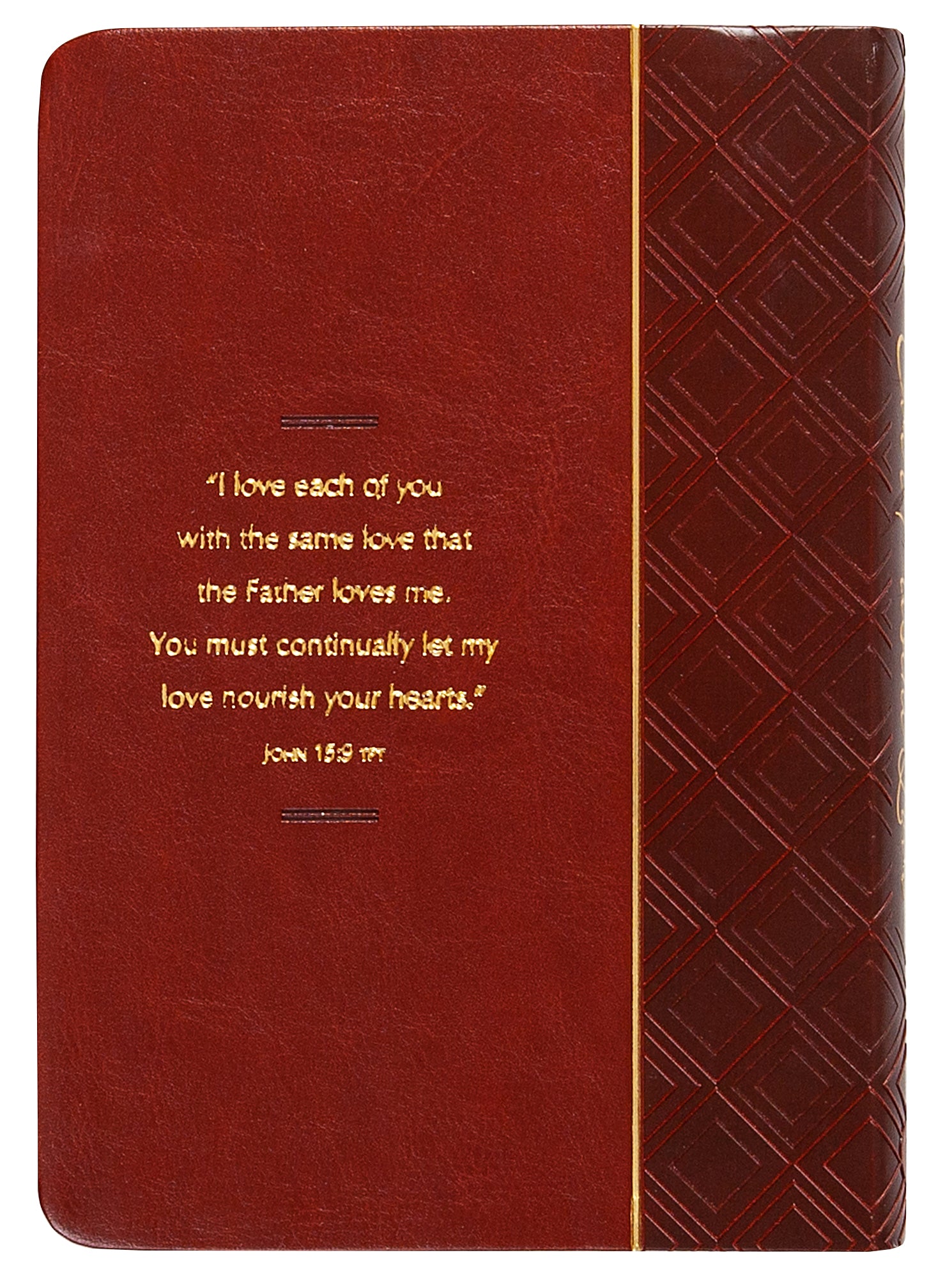 Ever Present Love: 365 Days of Discovering Jesus in the Gospels