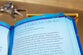 A Little God Time For Graduates: 365 Daily Devotions
