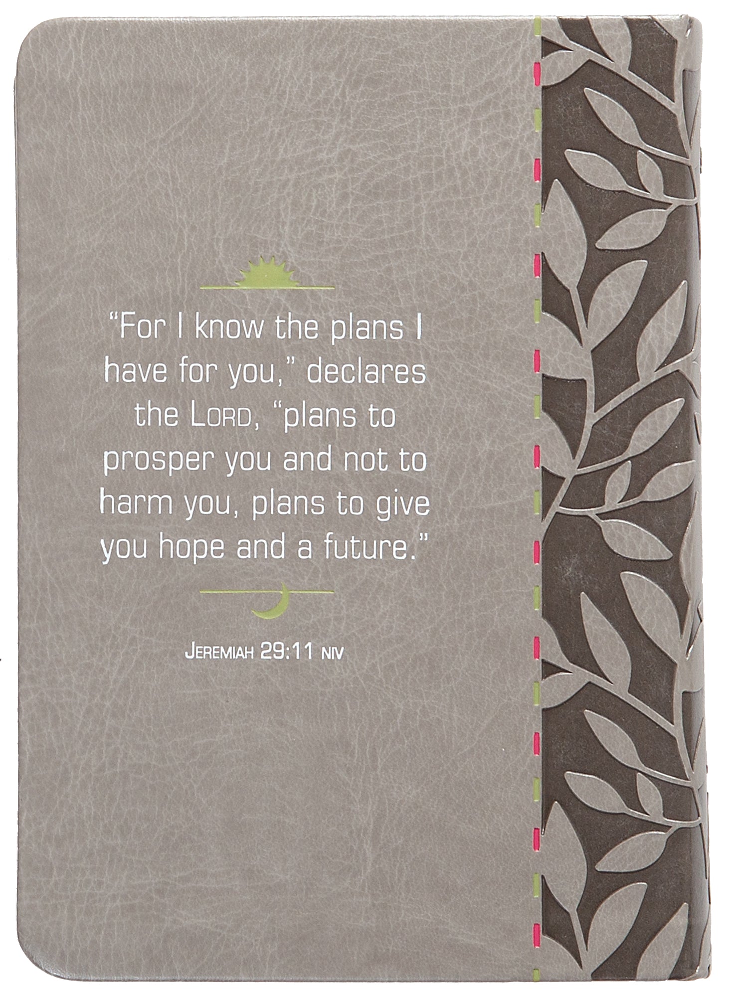 For I Know the Plans: Morning & Evening Devotional