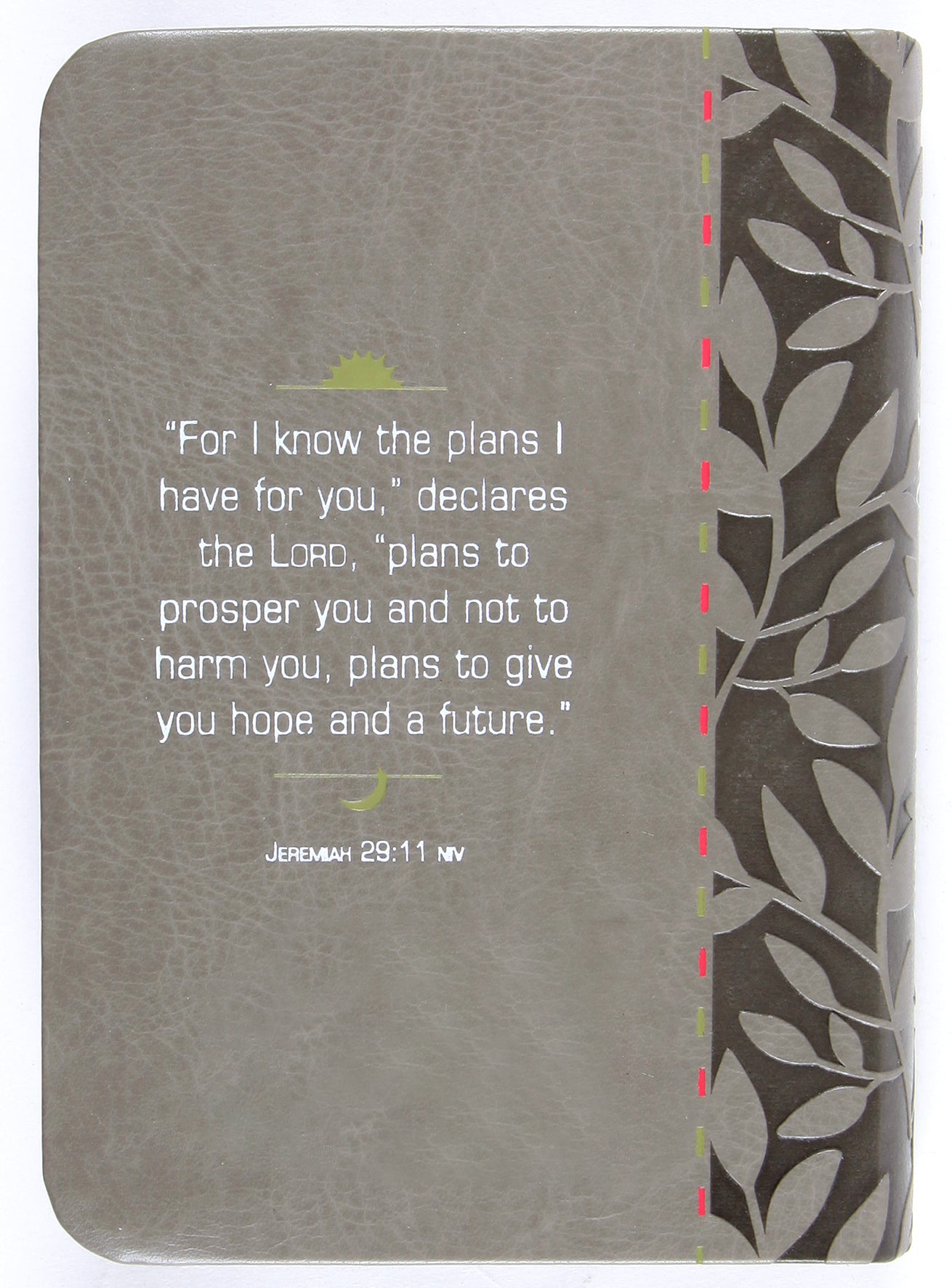 For I Know the Plans: Morning & Evening Devotional