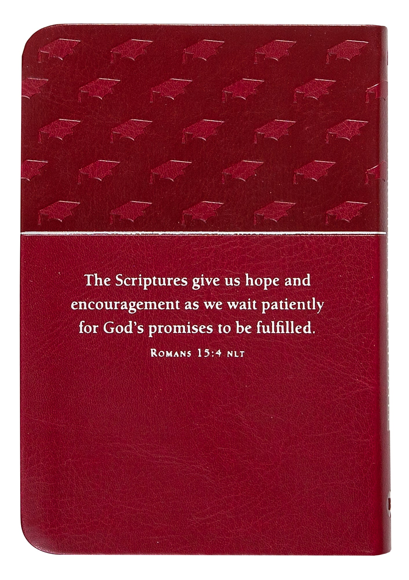 Bible Promises For Graduates Raspberry