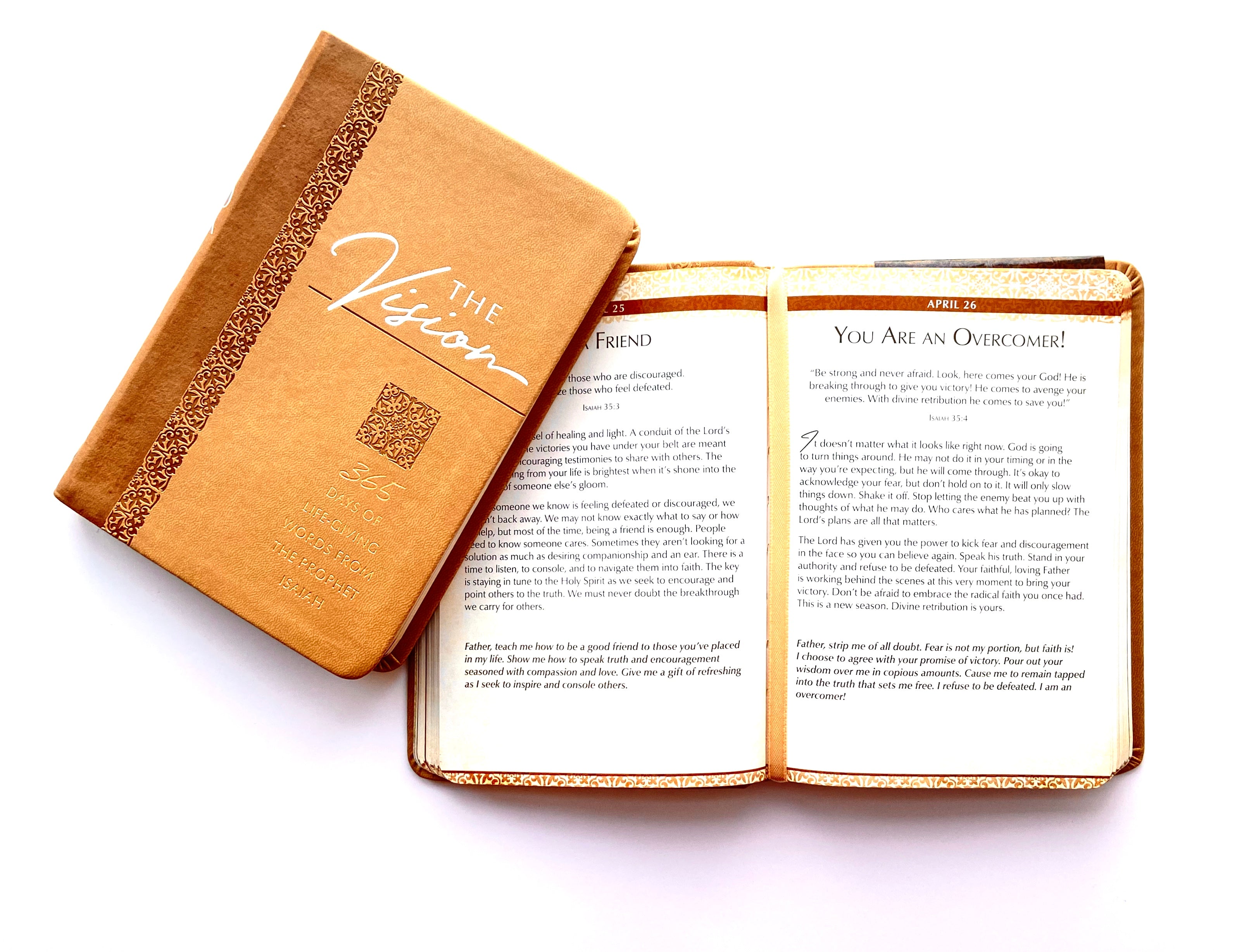 The Vision: 365 Days of Life-Giving Words From the Prophet Isaiah