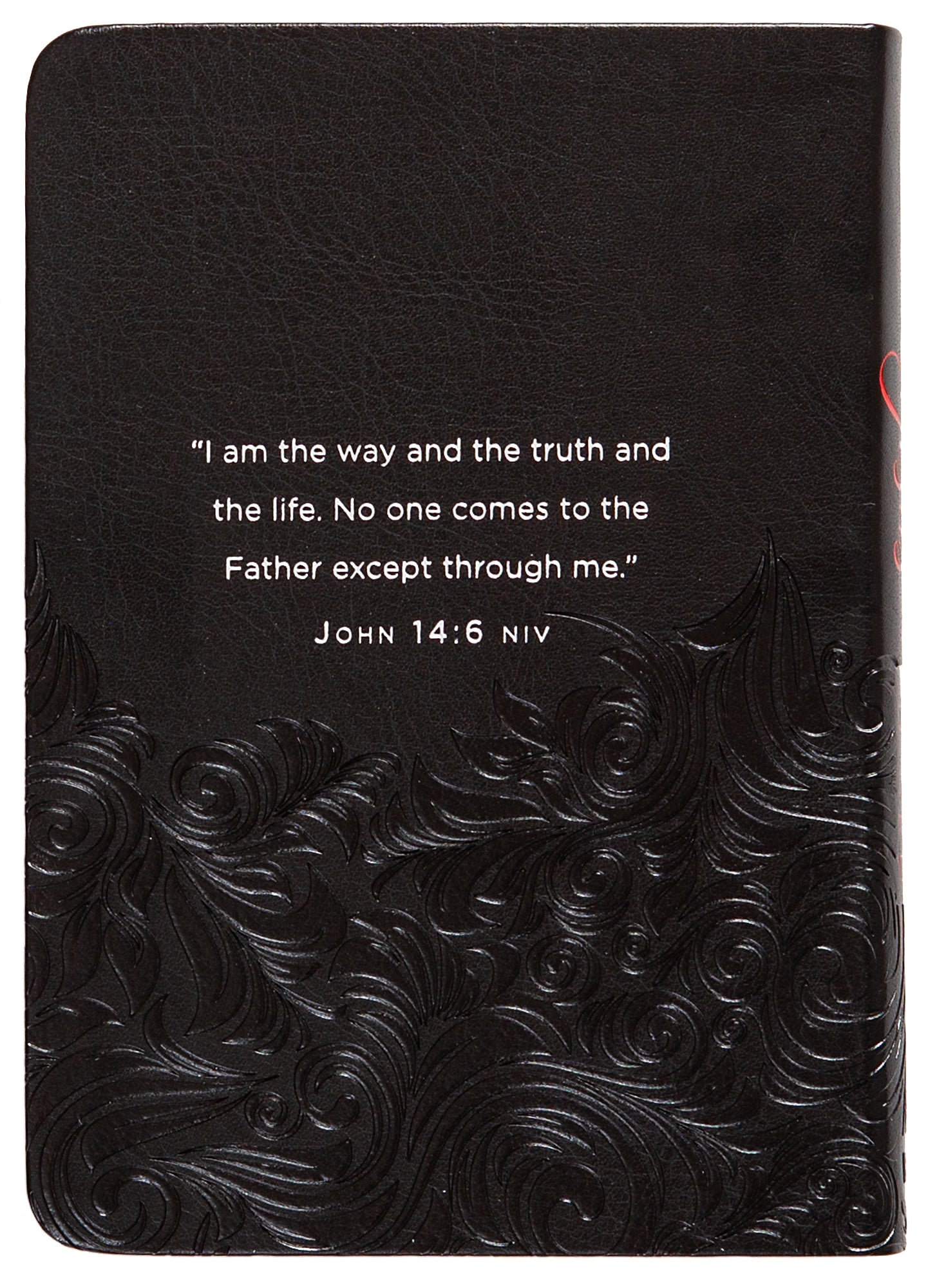 Jesus in Red: 365 Meditations on the Words of Jesus