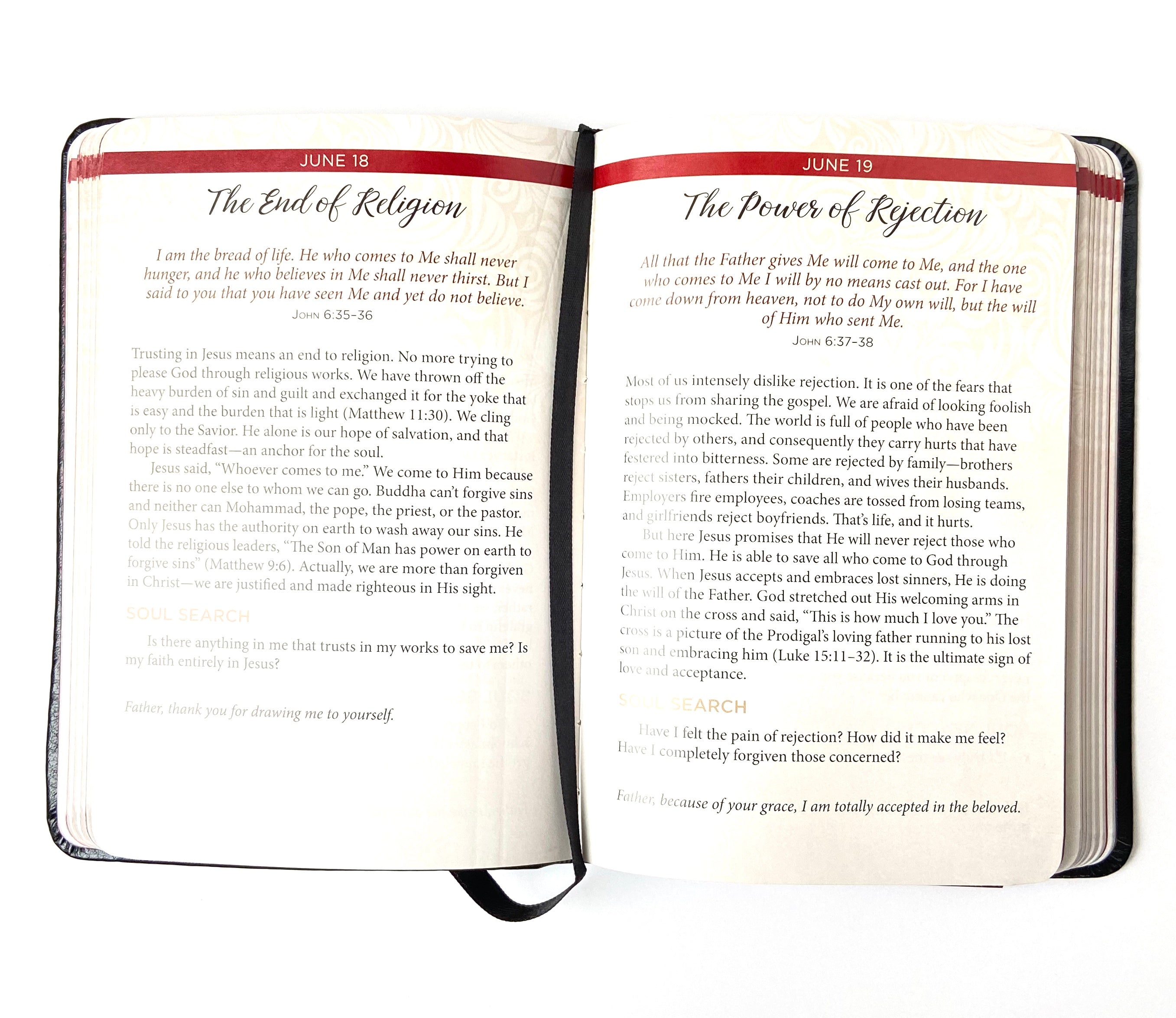 Jesus in Red: 365 Meditations on the Words of Jesus