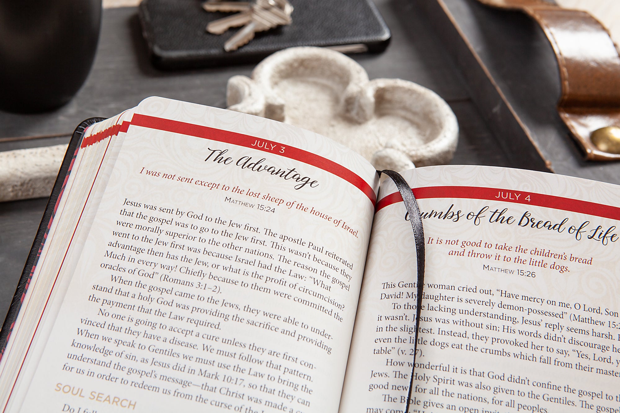 Jesus in Red: 365 Meditations on the Words of Jesus