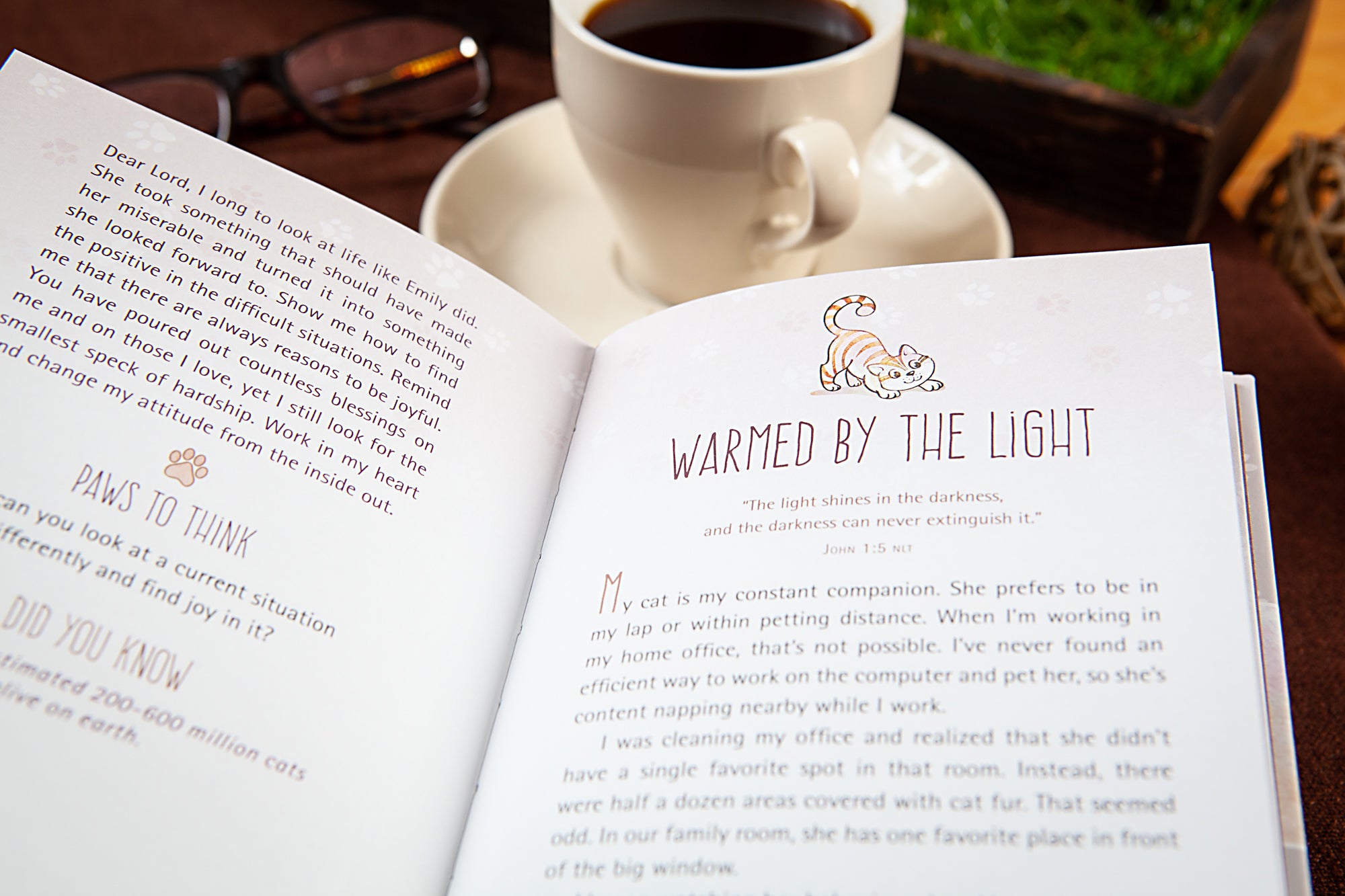 52 Devotions For Cat Ladies