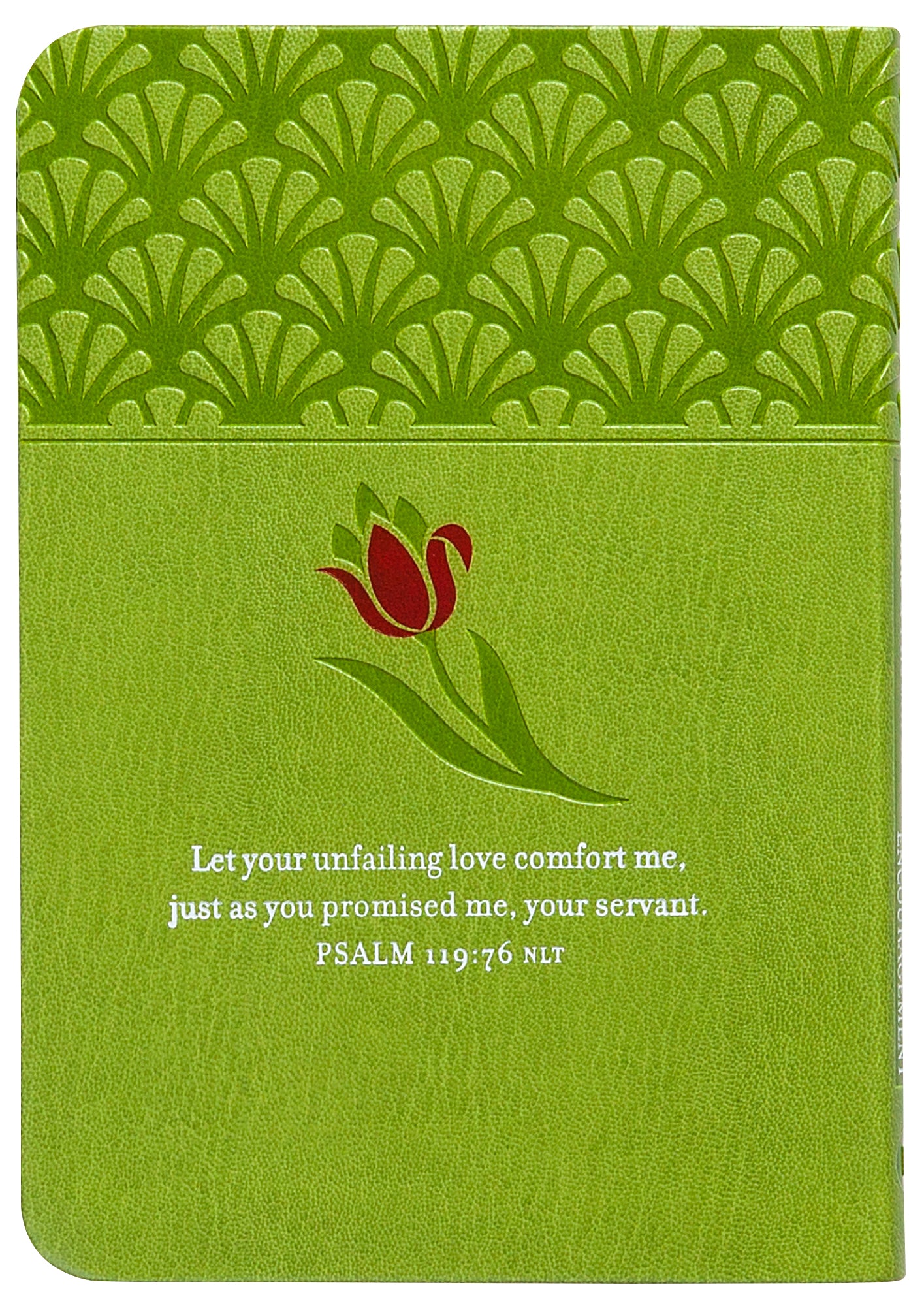 Prayers & Promises of Comfort and Encouragement