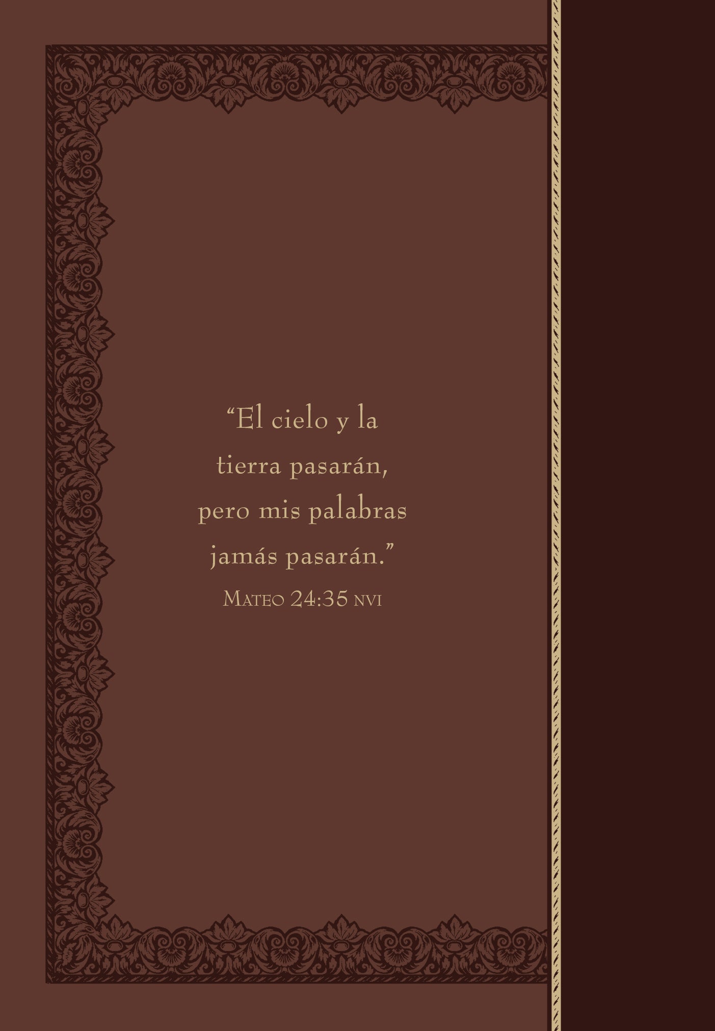Promesas De La Biblia Para La Vida: Un Maunual Indispensable Para Cada Una De Sus Necesidades (Spanish)