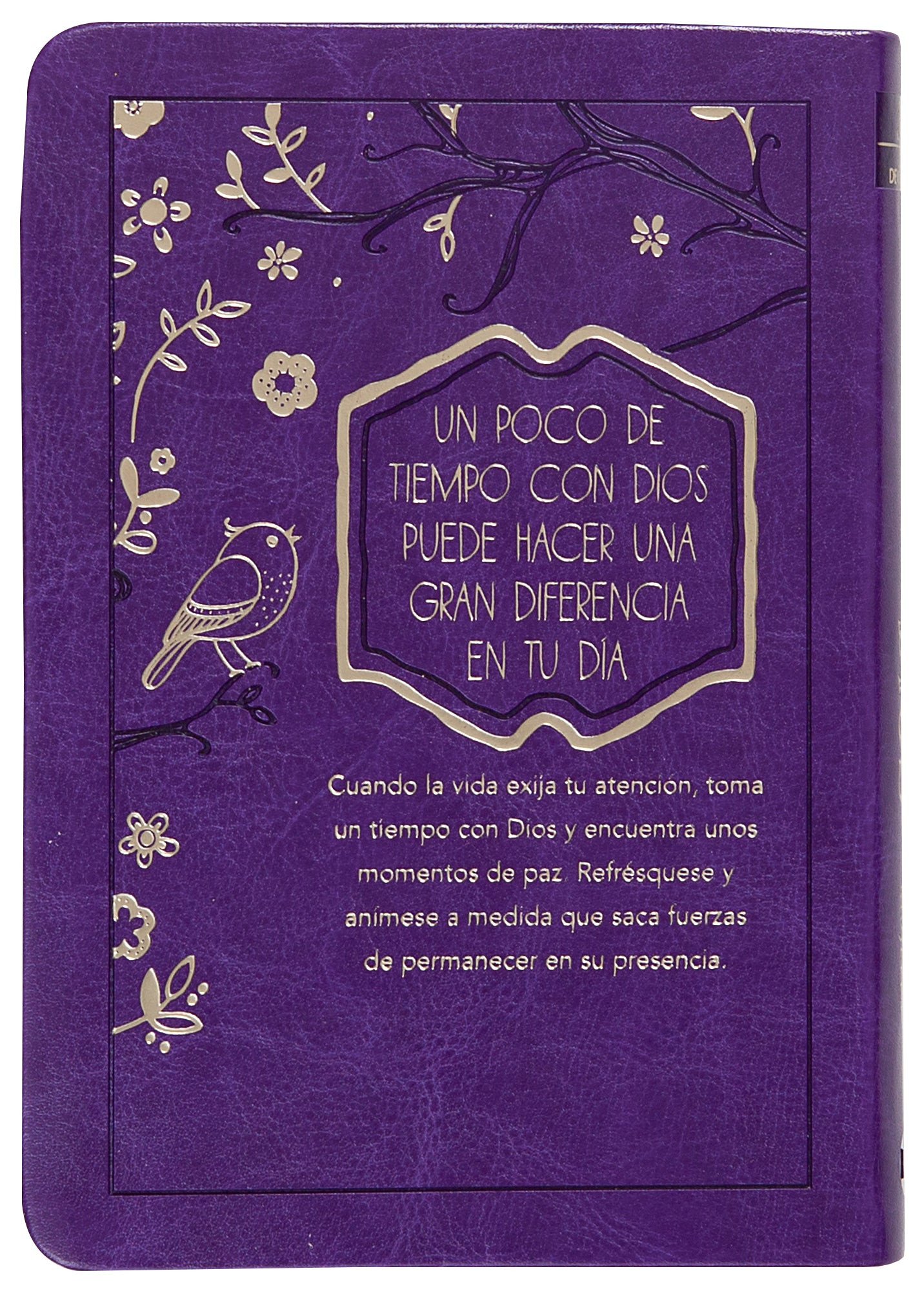 Mi Tiempo Con Dios Para Mujeres: 365 Dias Devocionario (Spanish)
