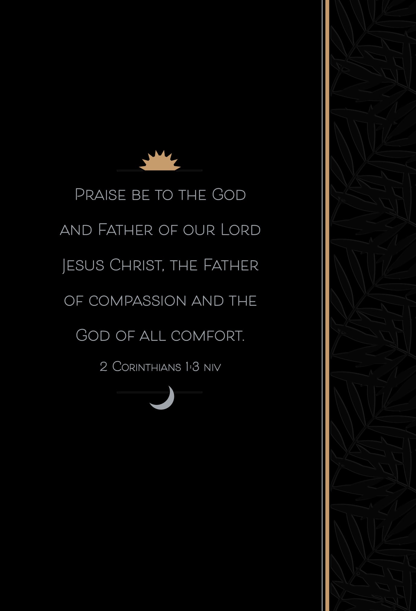 My Comfort is Jesus: 365 Daily Devotions For Morning and Evening