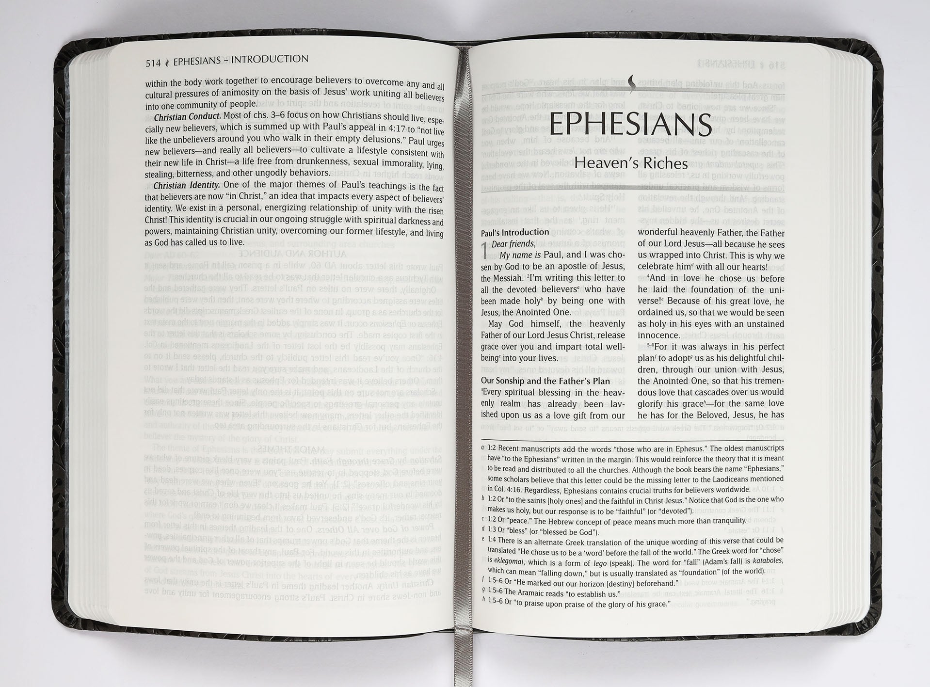 TPT New Testament Gray (Black Letter Edition) (With Psalms, Proverbs And The Song Of Songs)