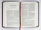 TPT New Testament Large Print Brown (Black Letter Edition) (With Psalms, Proverbs And The Song Of Songs)