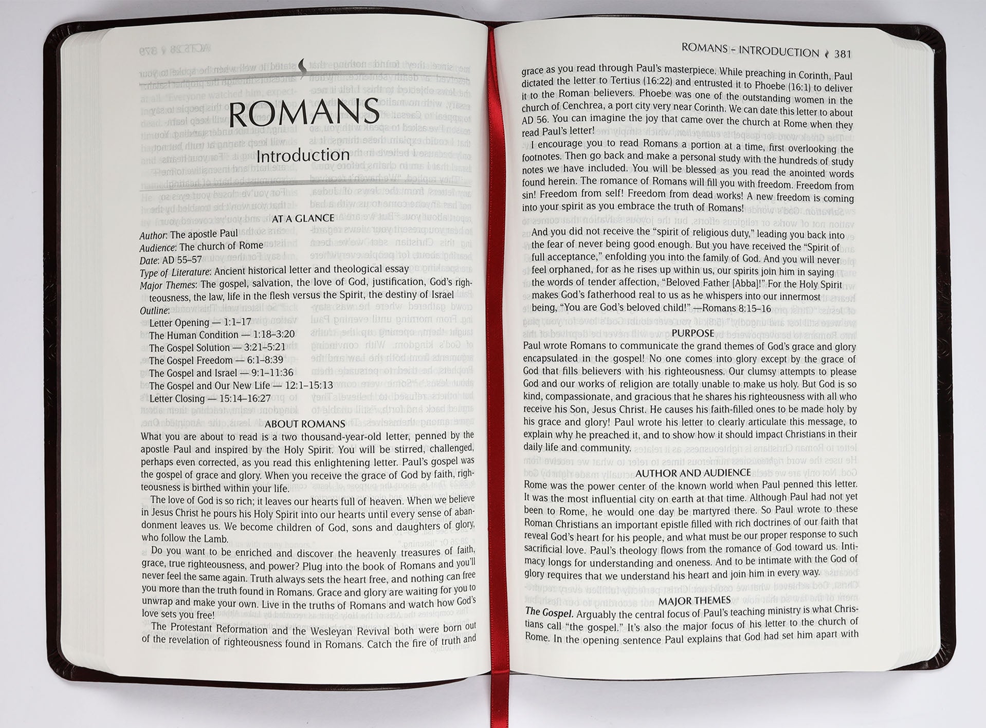 TPT New Testament Large Print Burgundy (Black Letter Edition) (With Psalms, Proverbs And The Song Of Songs)