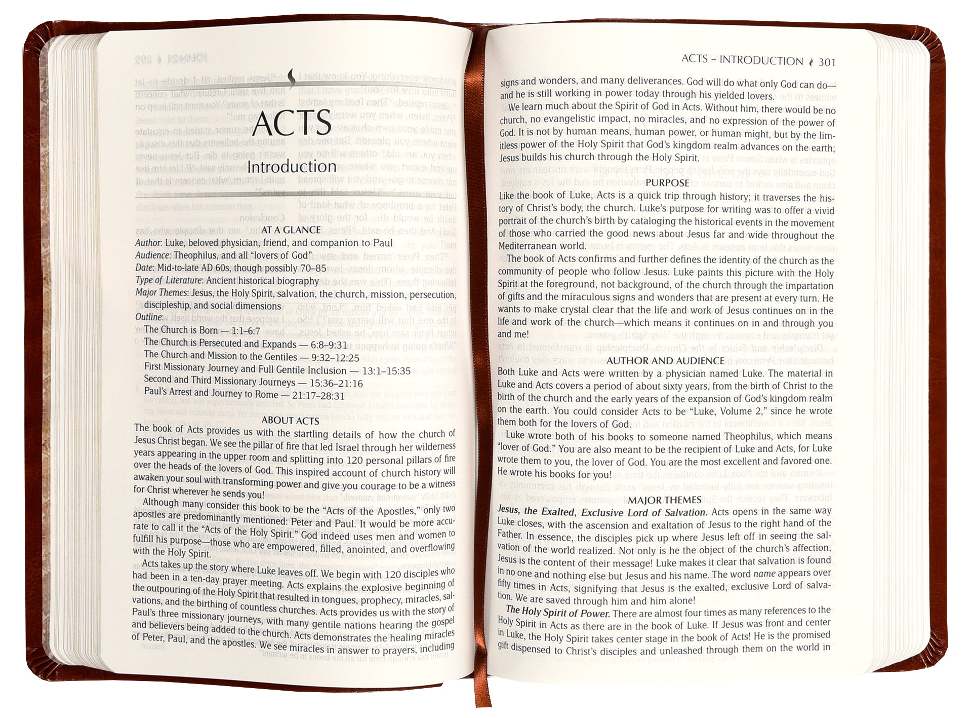 TPT New Testament Masterpiece Edition (With Psalms Proverbs And Song Of Songs)