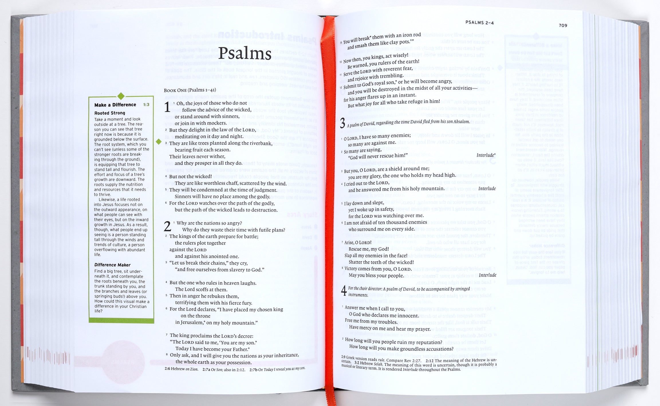NLT Make a Difference Youth Bible
