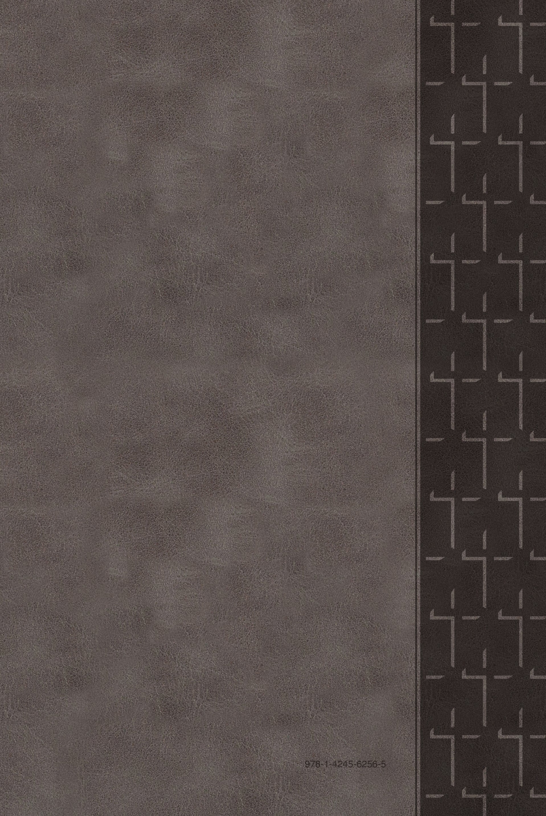 TPT New Testament Large Print Gray (With Psalms, Proverbs And The Song Of Songs)