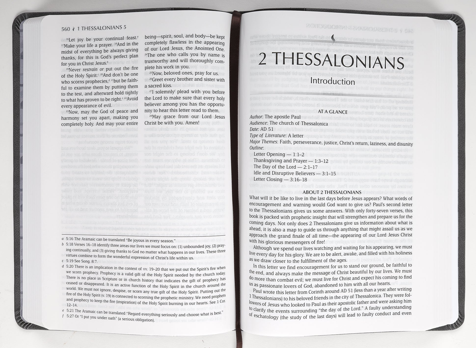 TPT New Testament Large Print Gray (With Psalms, Proverbs And The Song Of Songs)