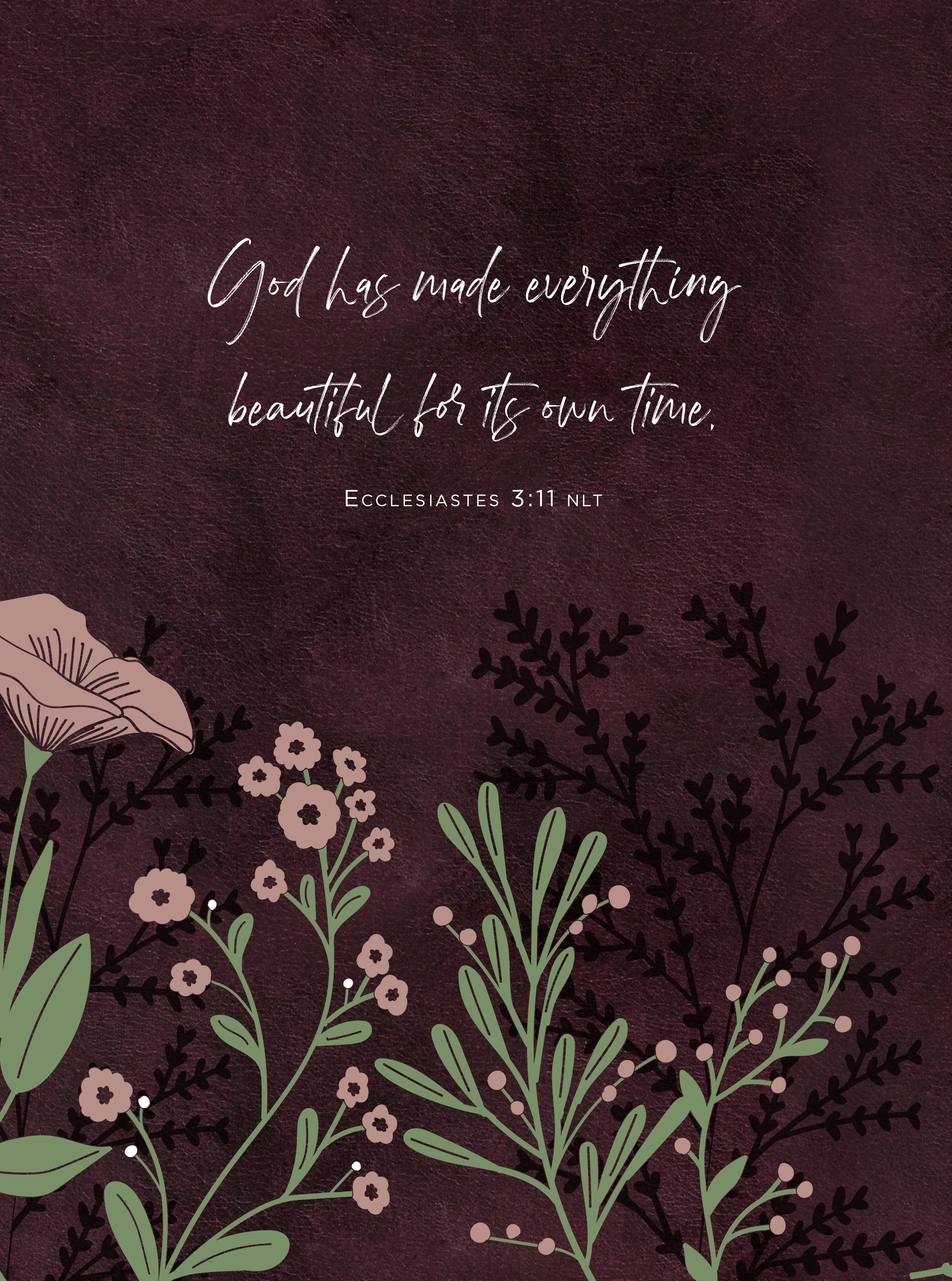 All Things Beautiful: 365 Daily Devotions (Ziparound)