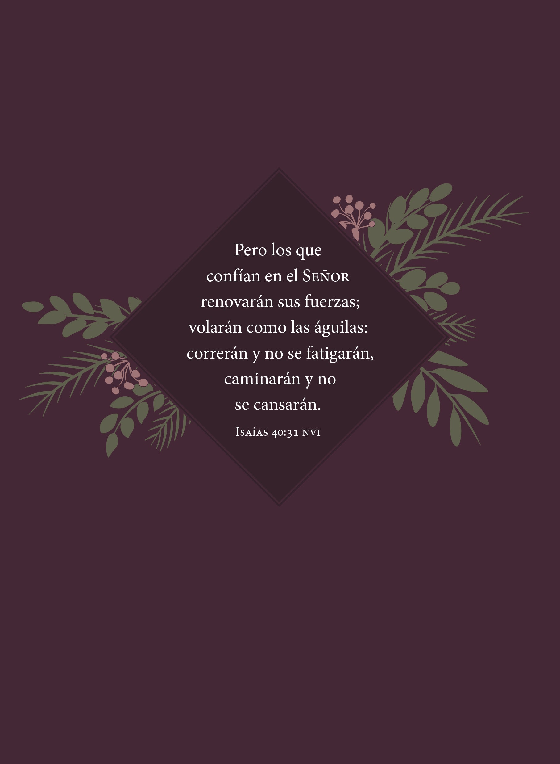 Fuerzas Para Cada Dia Para La Mujer: Devociones De 365 Dias (Daily Strength For Women) (Spanish)