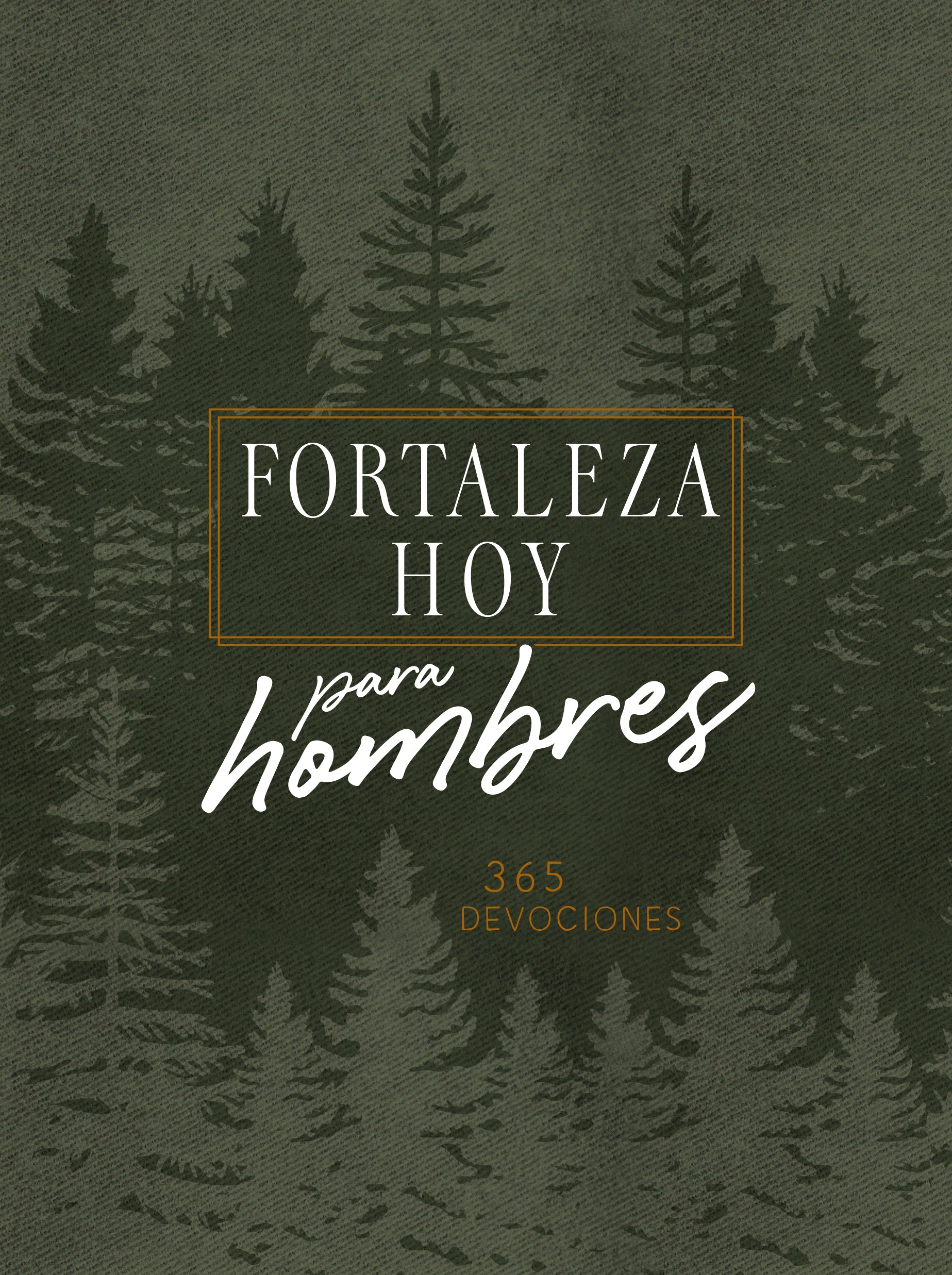 Forteleza Hoy Para Hombres: 365 Devociones (Strength For Today For Men) (Spanish)