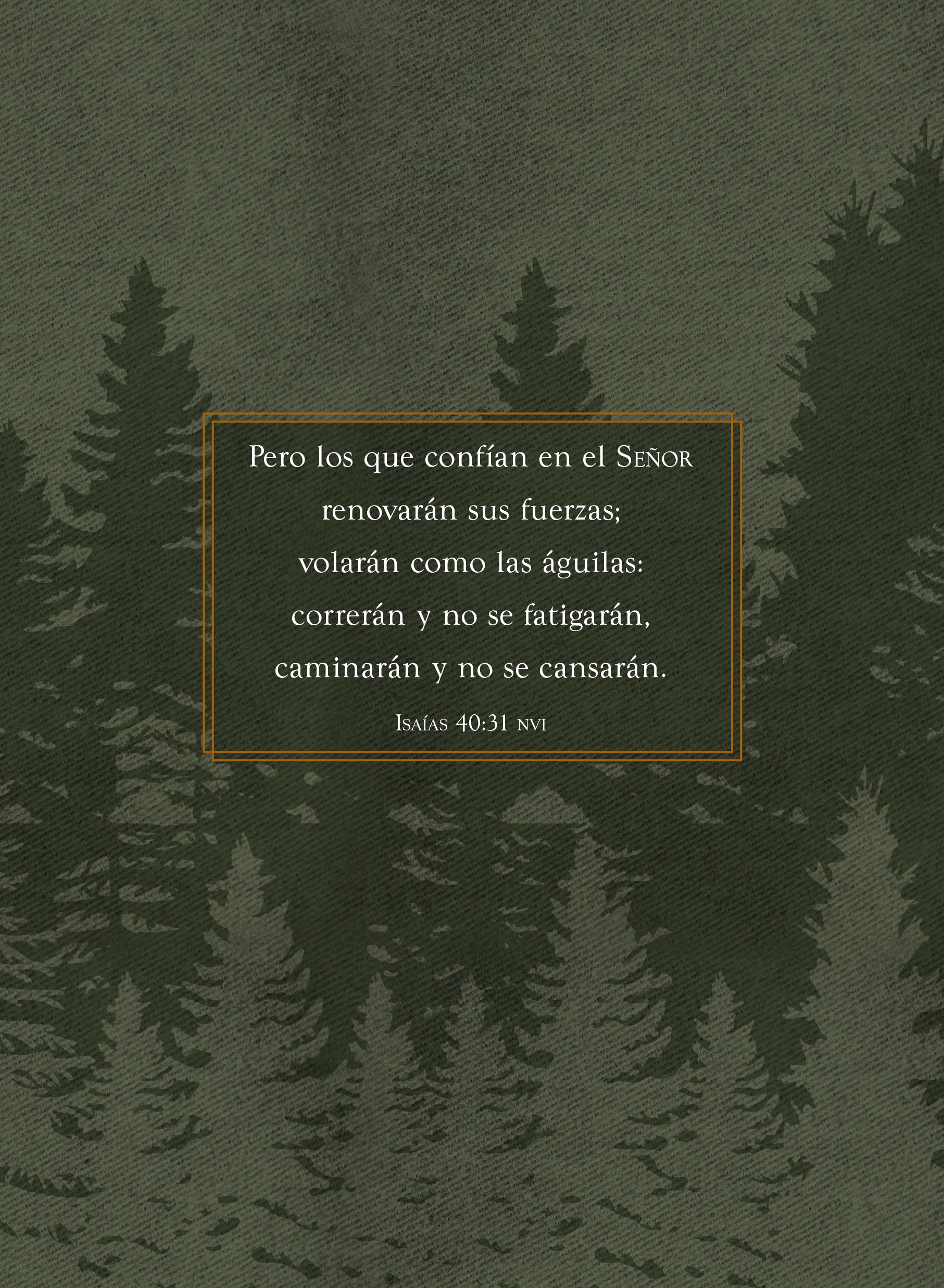 Forteleza Hoy Para Hombres: 365 Devociones (Strength For Today For Men) (Spanish)