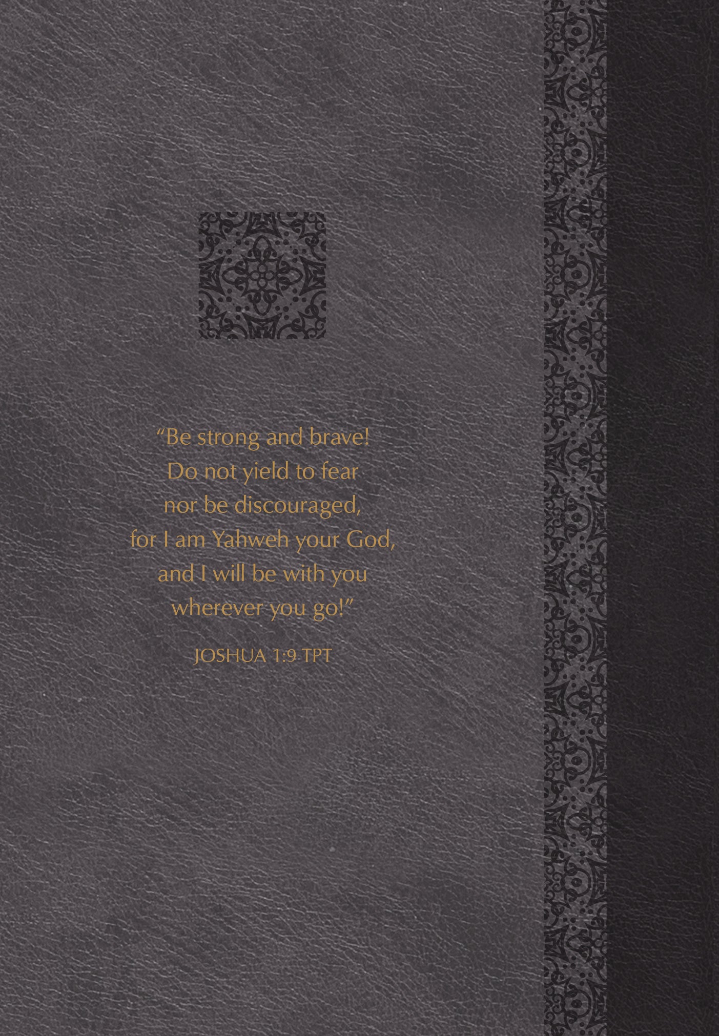 Courage to Conquer: 365 Devotions From Joshua, Judges, and Ruth