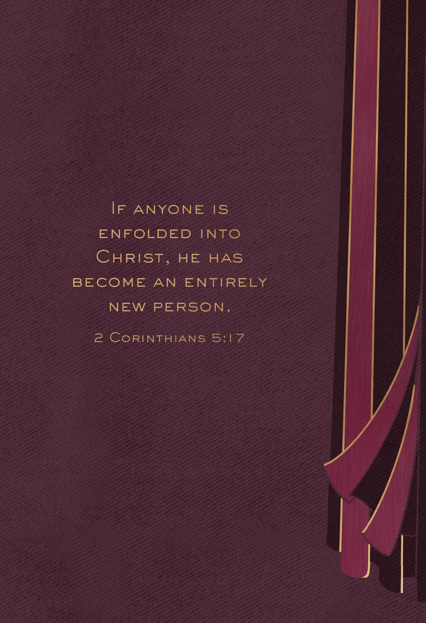 Wrapped in Christ: 365 Devotions From the Pauline Epistles