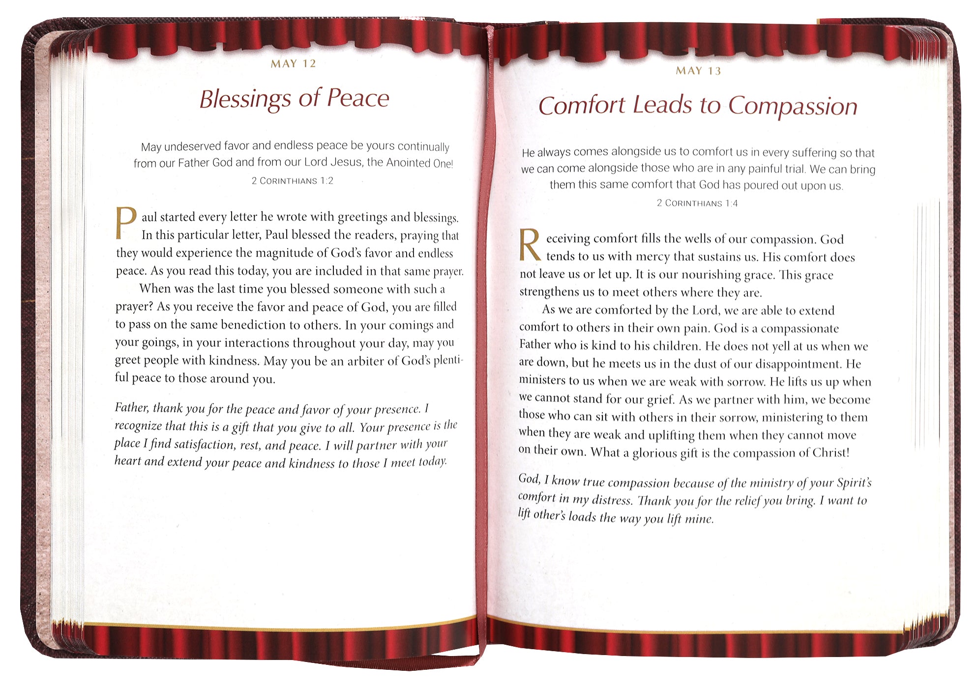 Wrapped in Christ: 365 Devotions From the Pauline Epistles