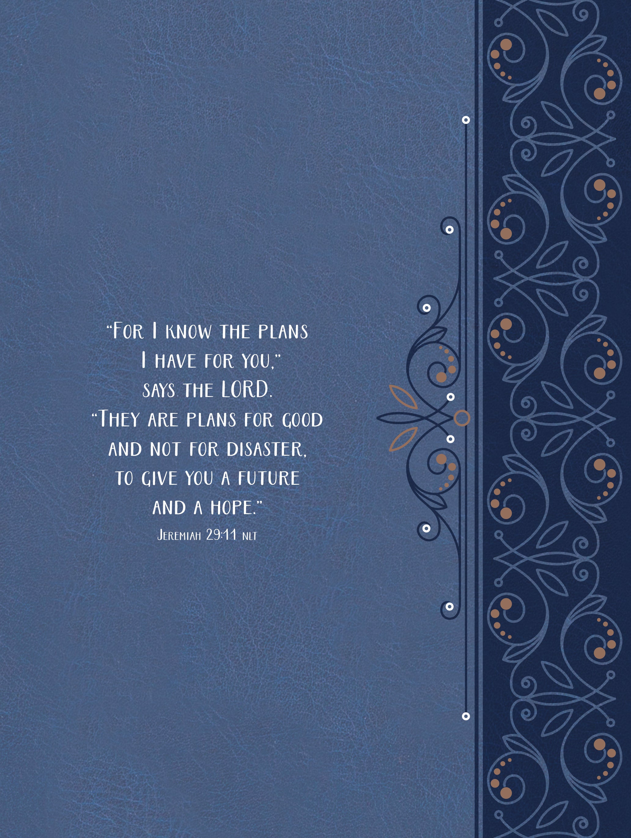 For I Know the Plans: A 365-Day Devotional (Ziparound)
