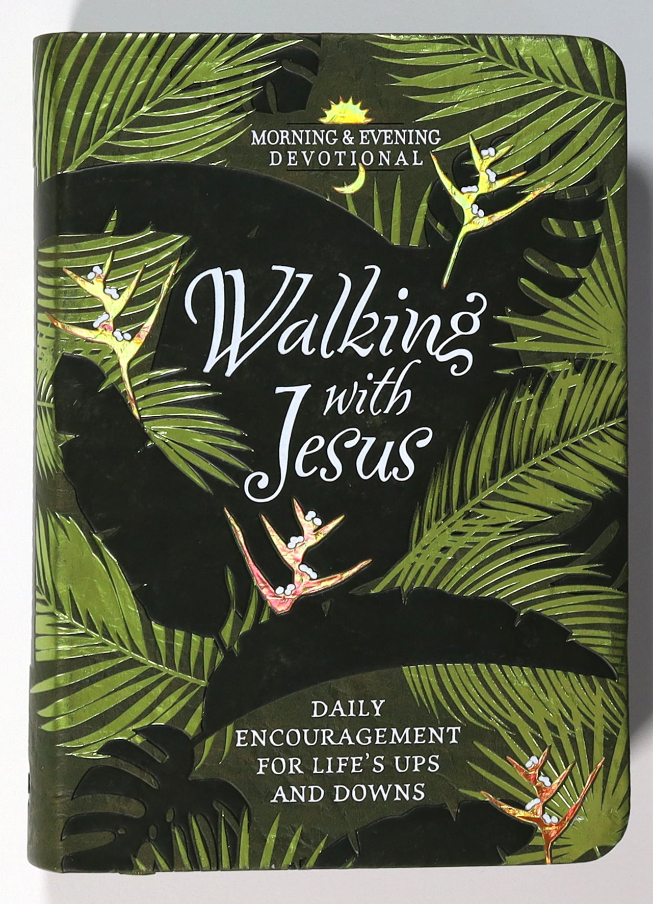 Walking With Jesus: Daily Encouragement For Life's Ups and Downs