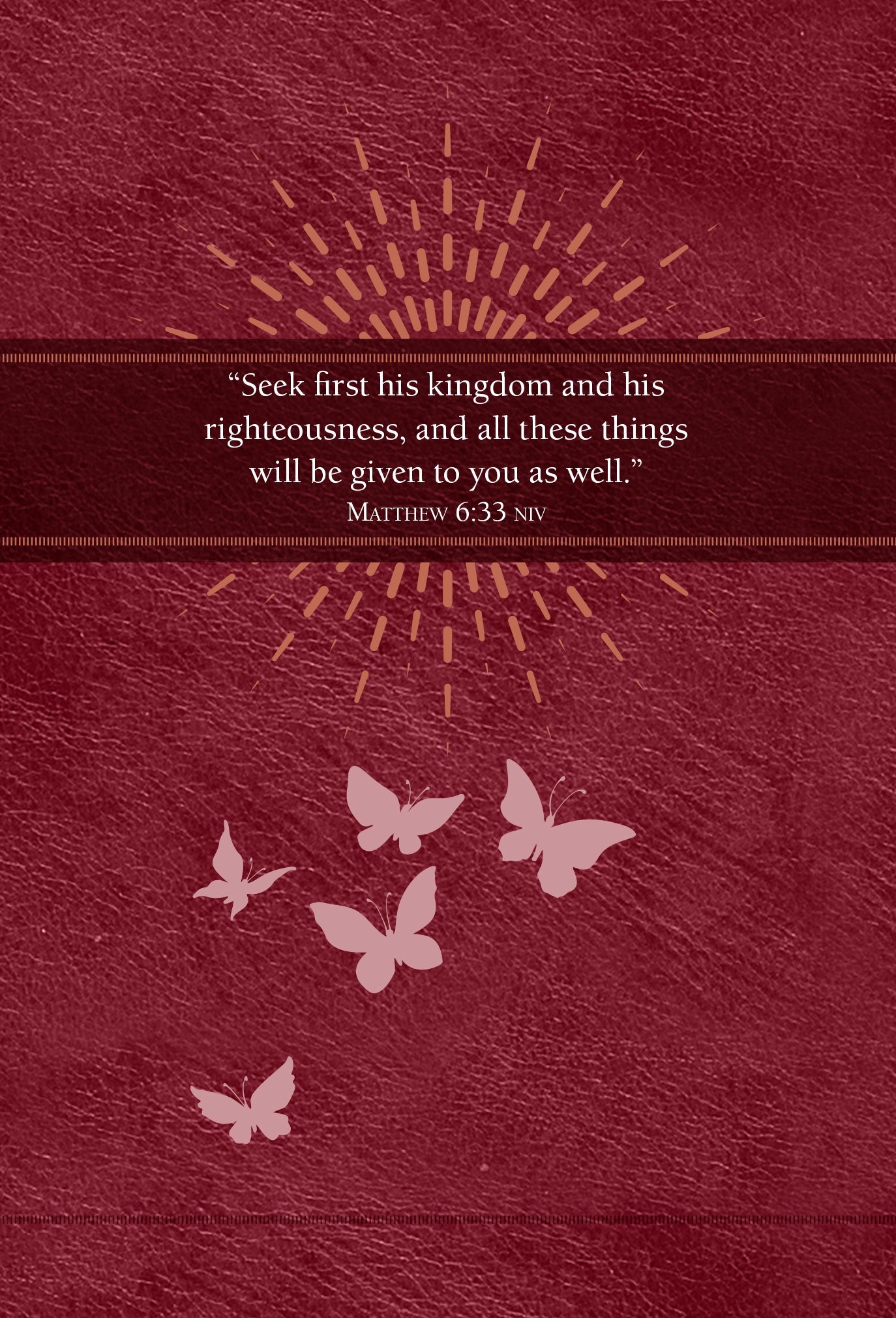 Jesus First For Women: 365 Daily Devotions