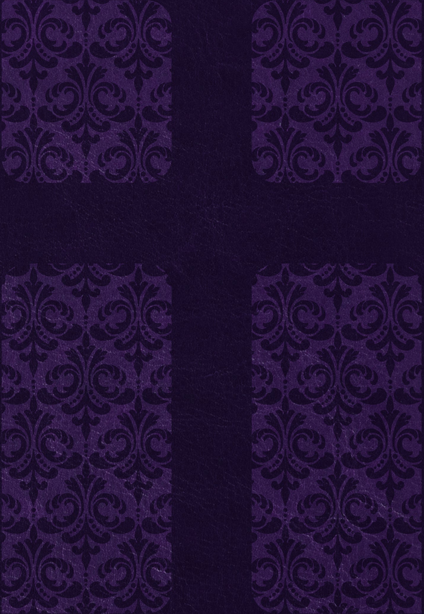 KJV Holy Bible Compact Amethyst (Red Letter Edition)